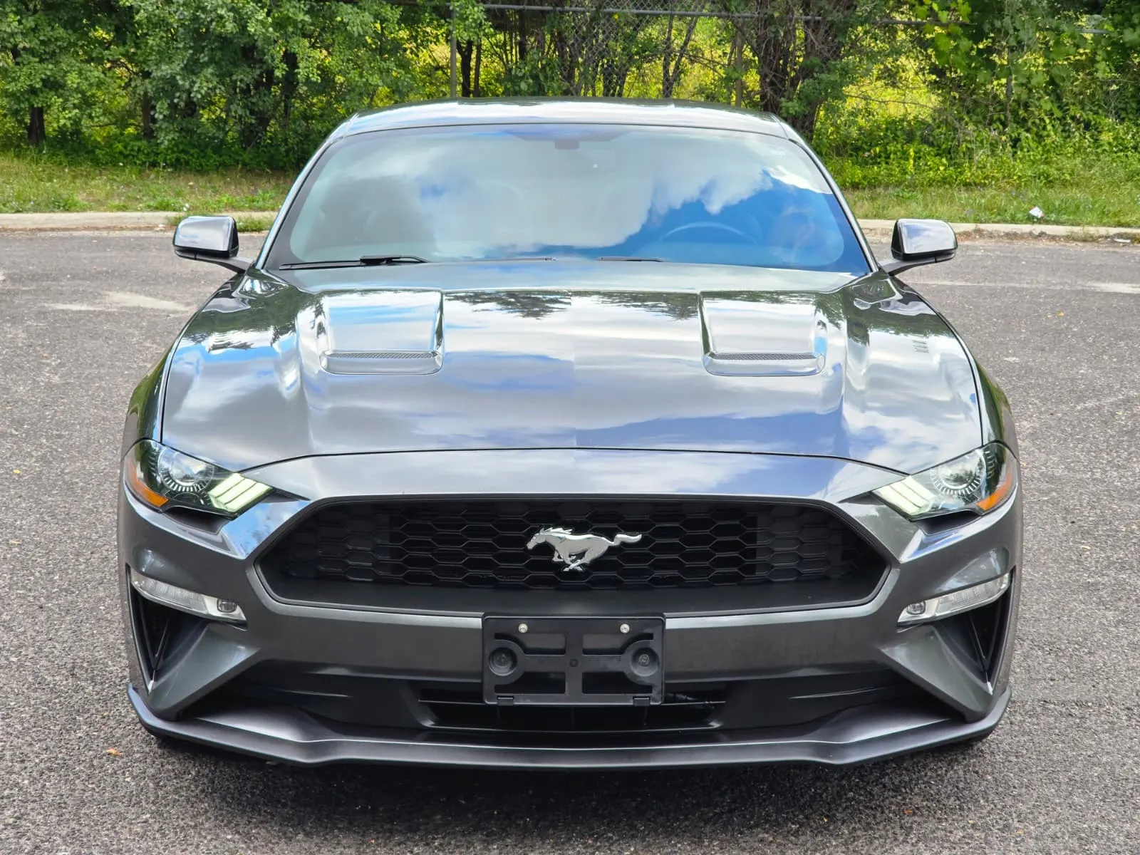 Front