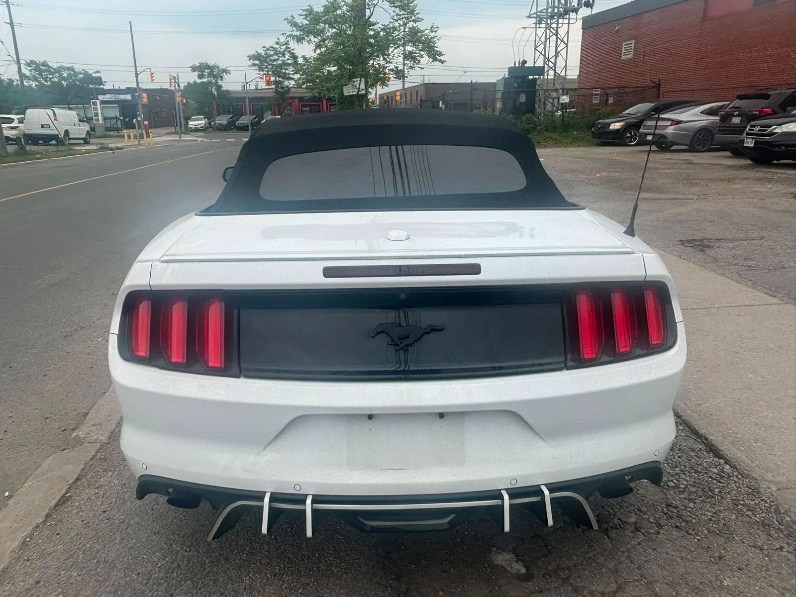 Back