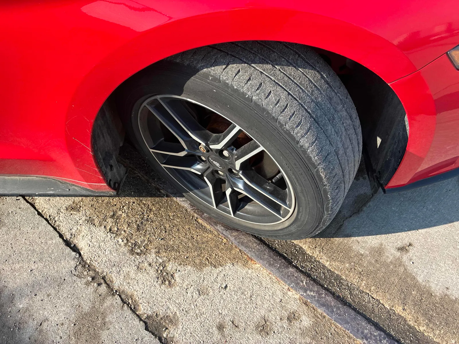 Tire
