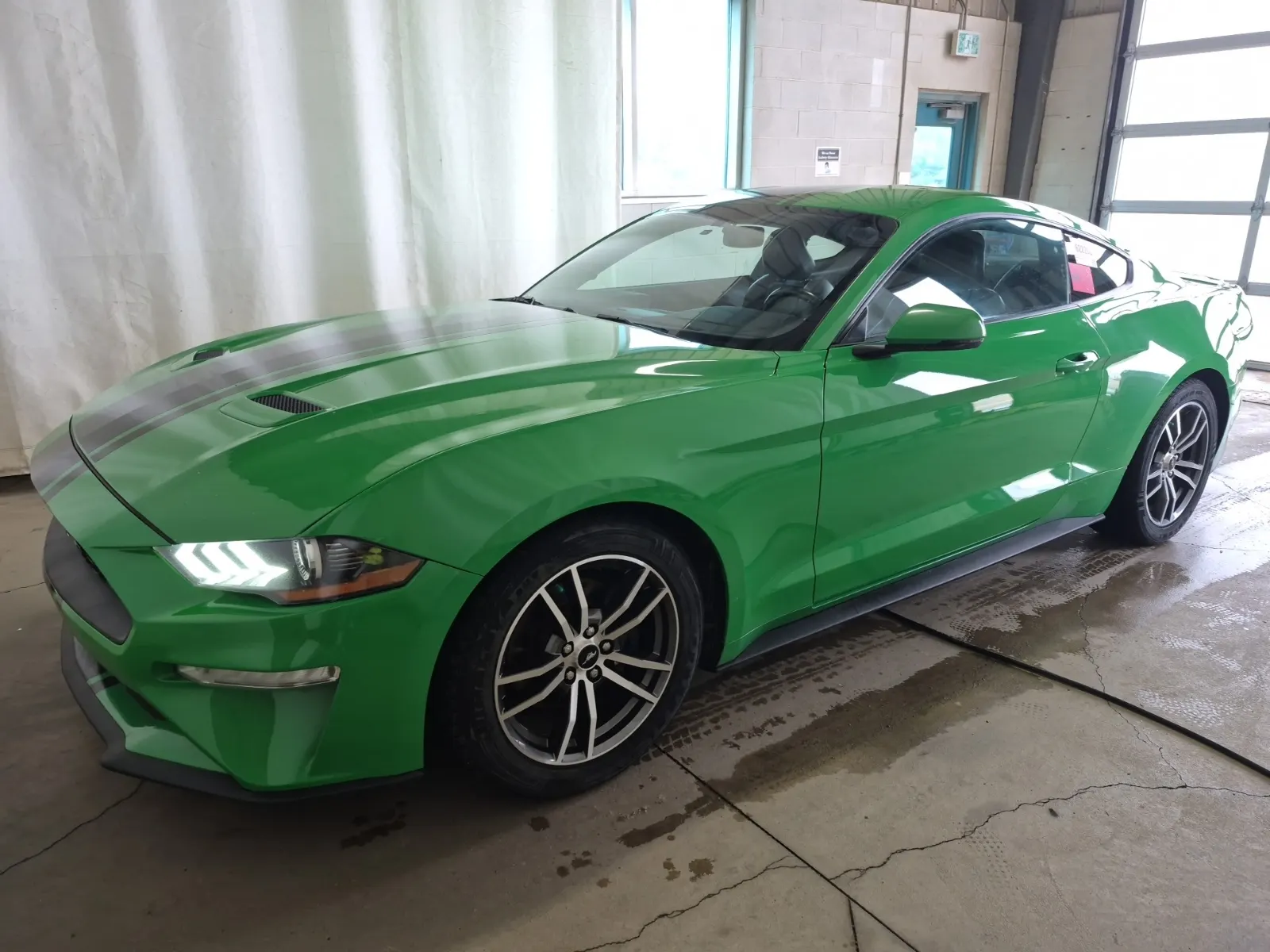 2019 Ford Mustang