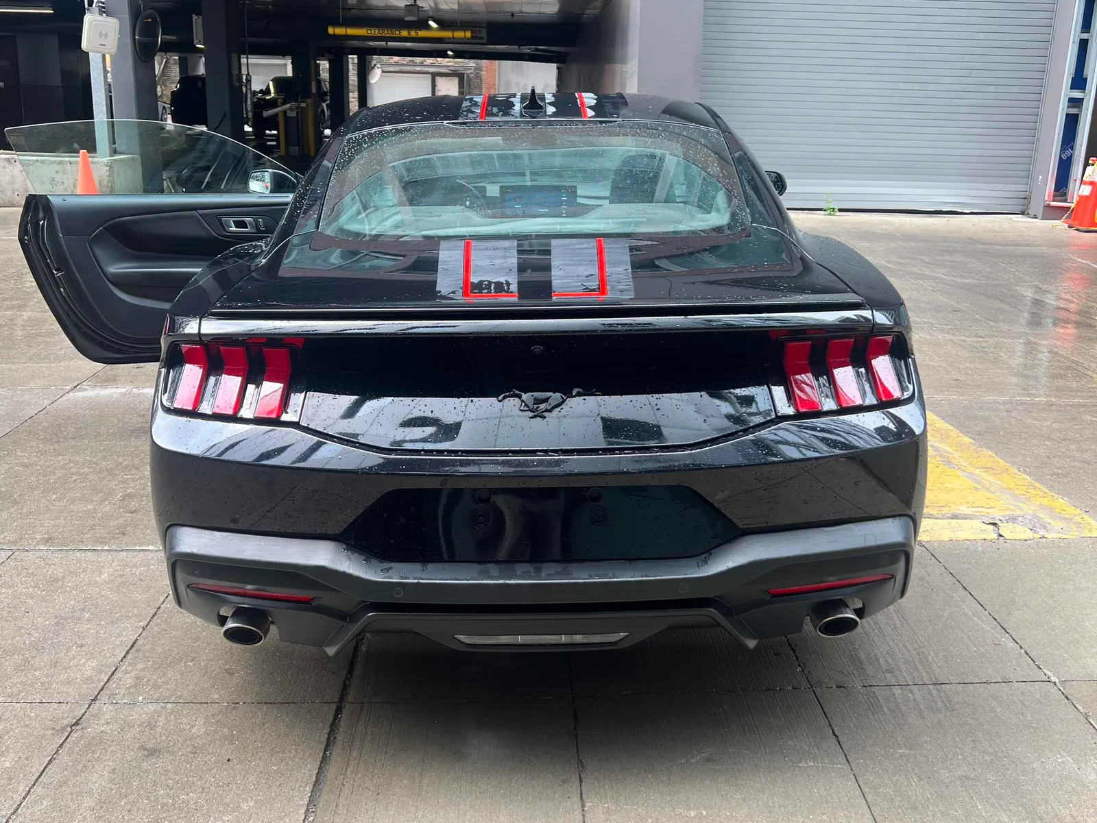 Back