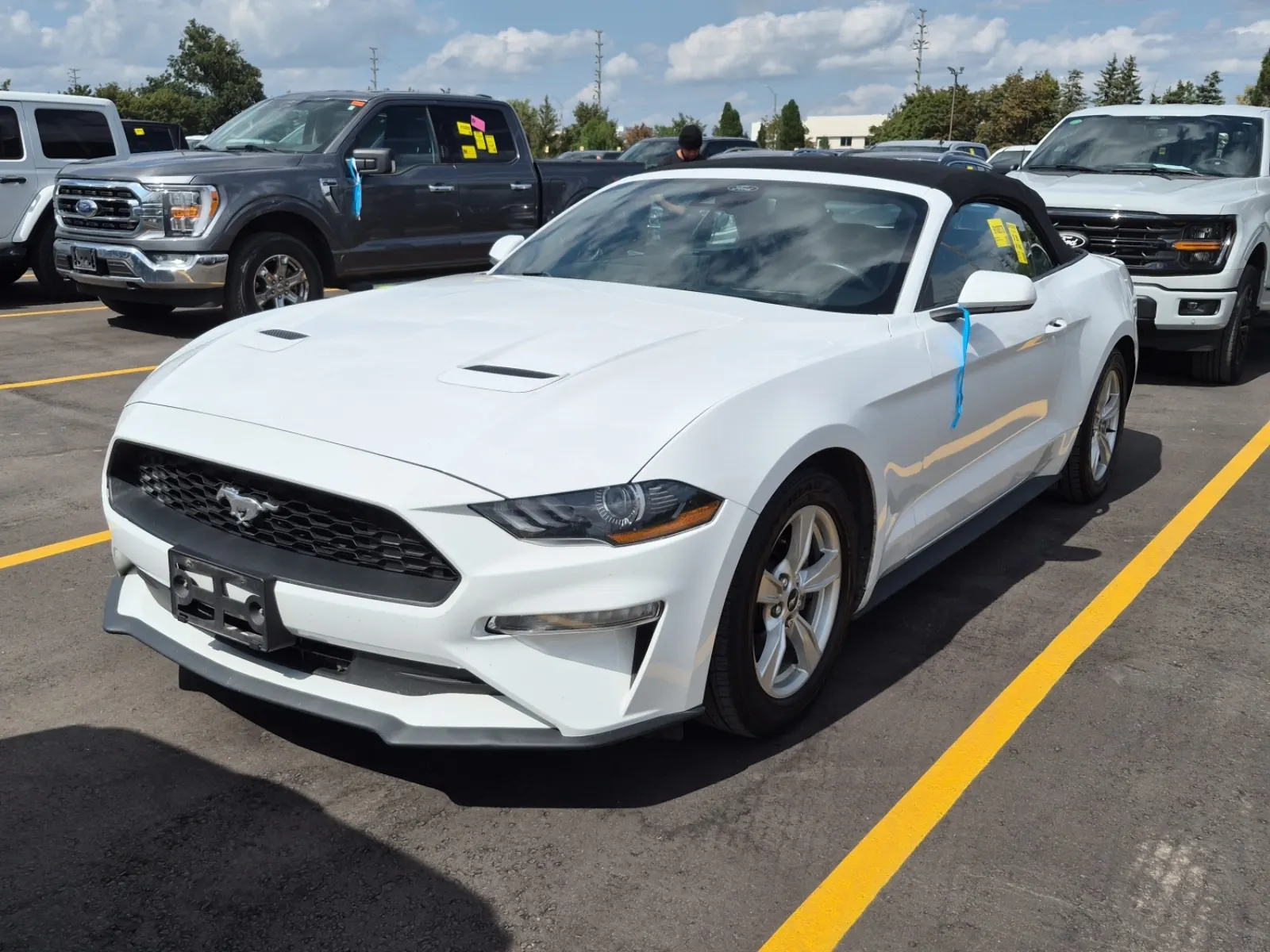 2022 Ford Mustang