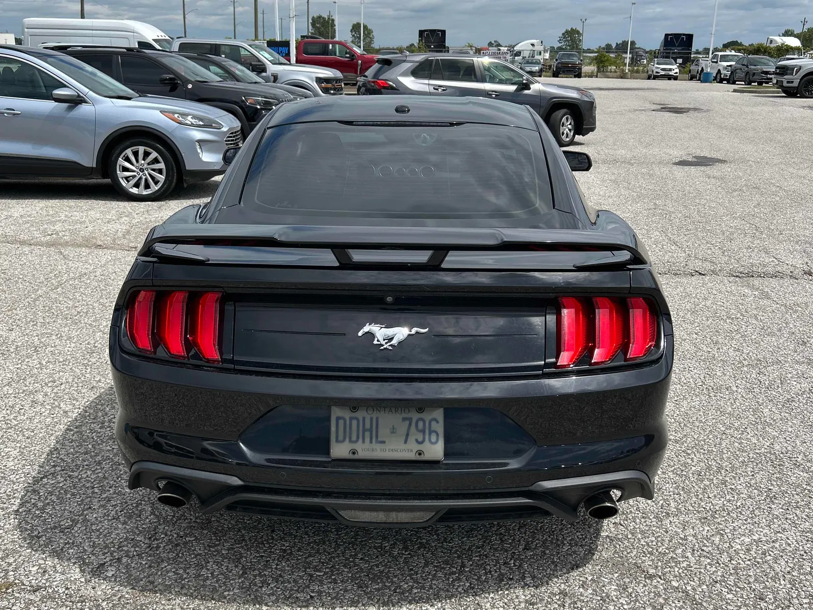 Back