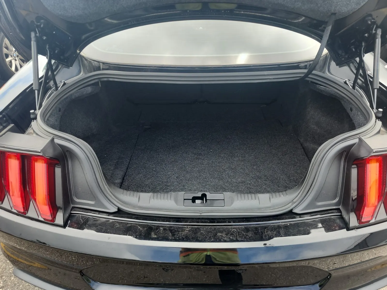 Cargo Area Photo