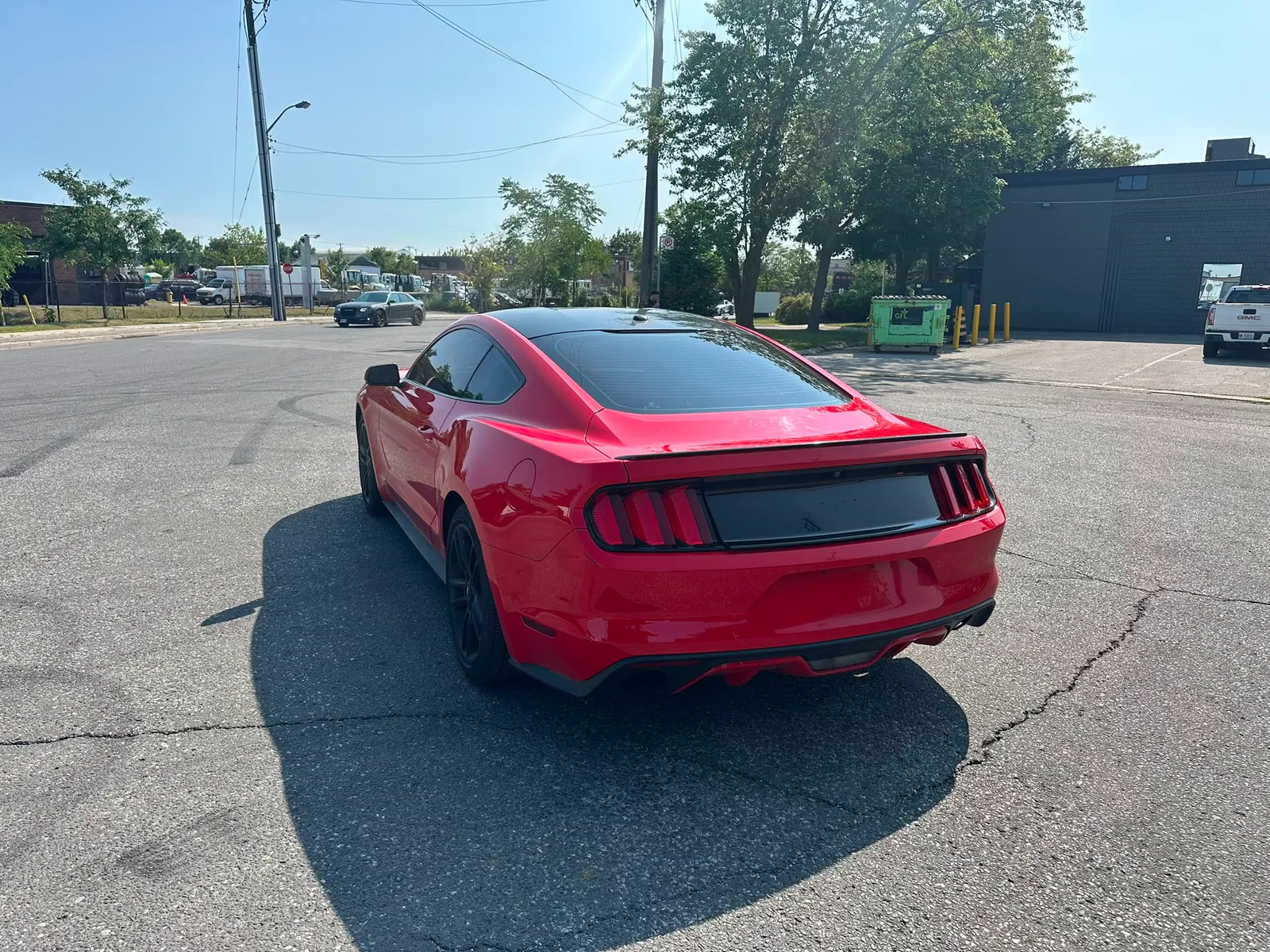 Additional Photo