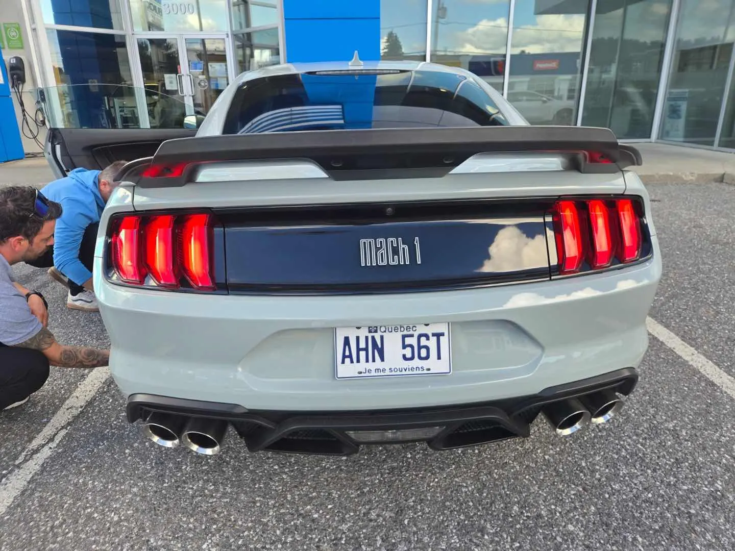 Back