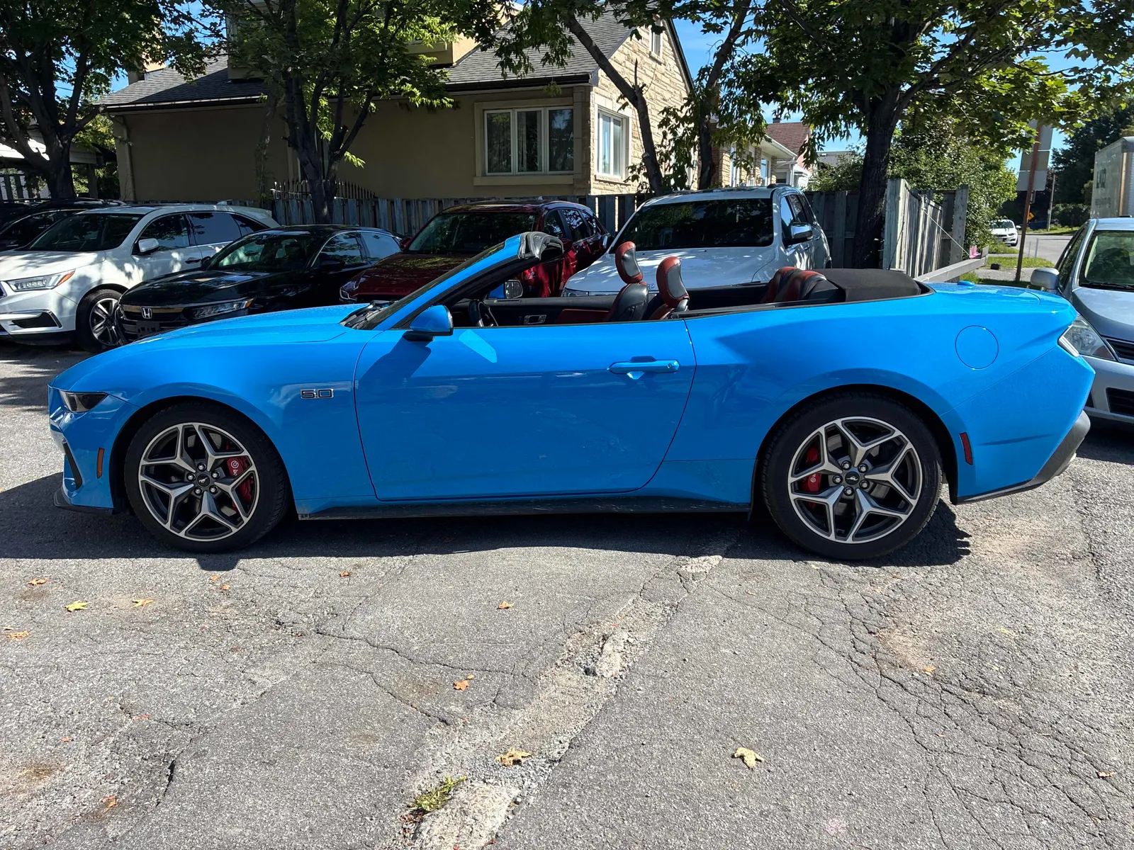 Additional Photo