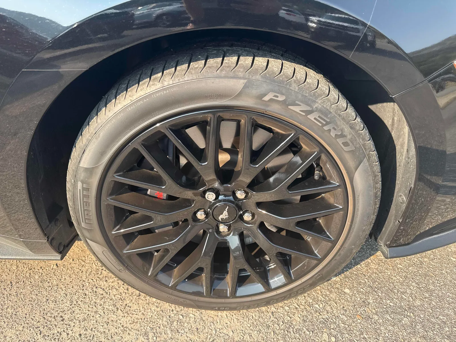 Tire