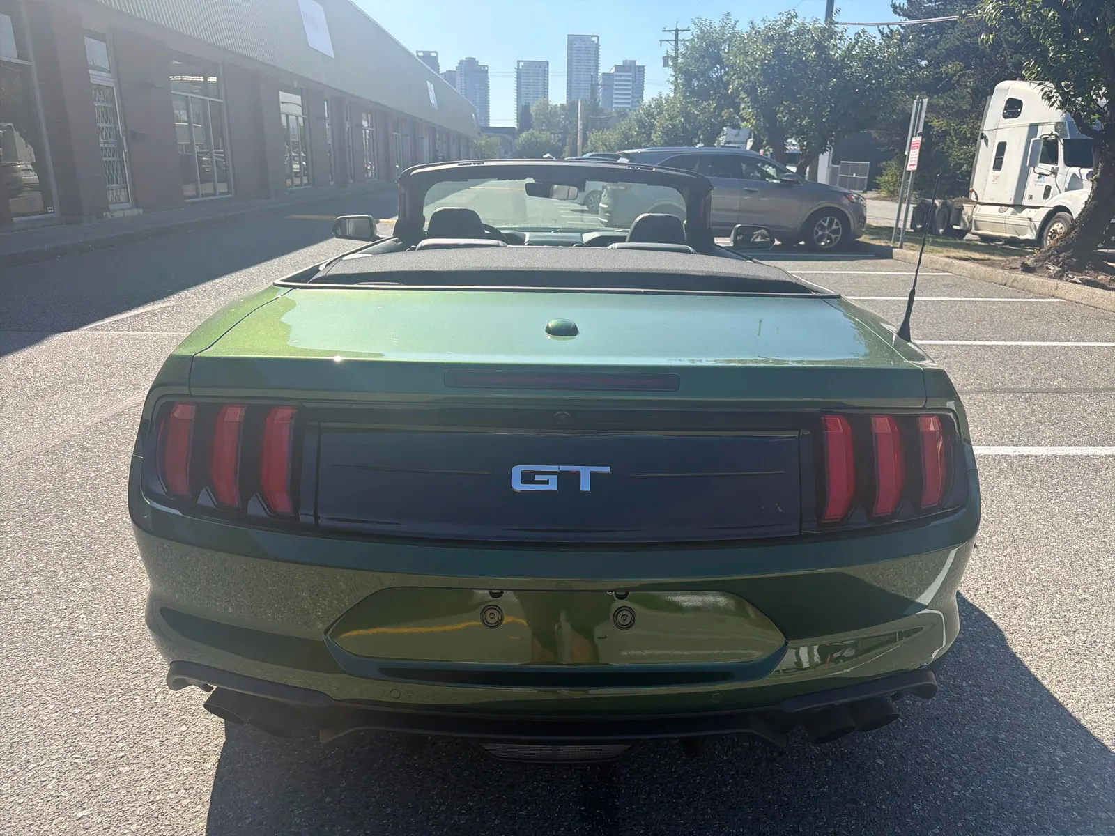 Back