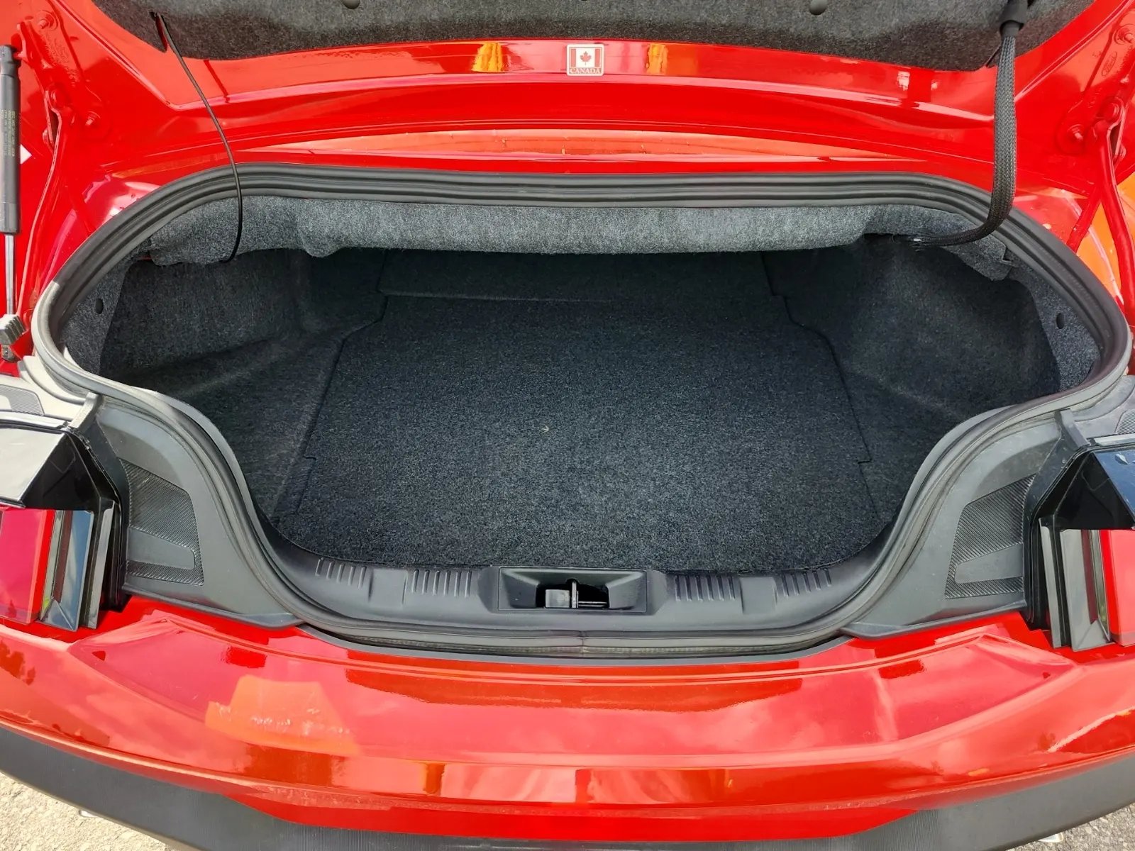 Cargo Area Photo