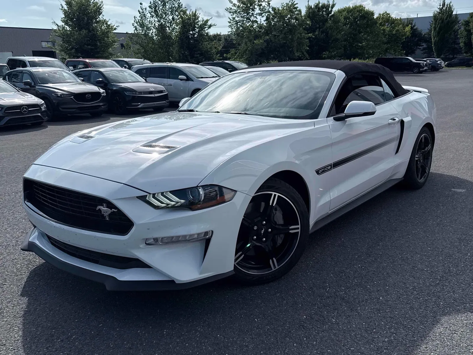 2019 Ford Mustang