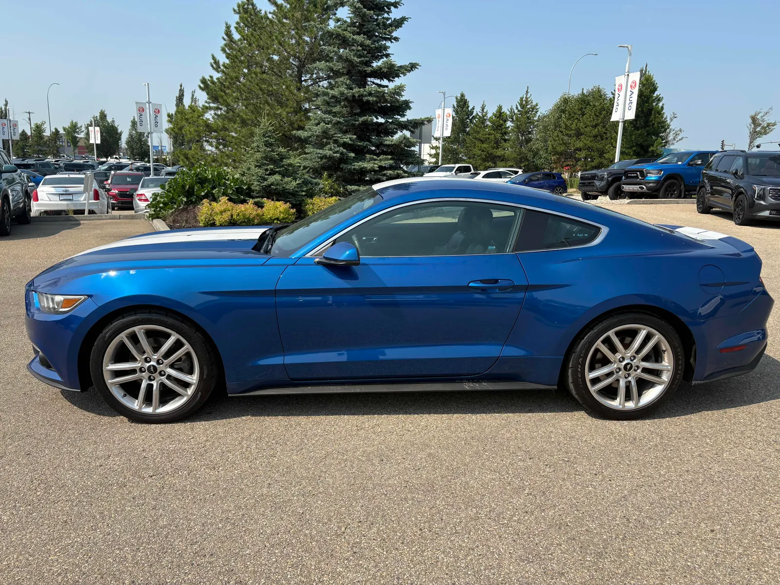 Driver side