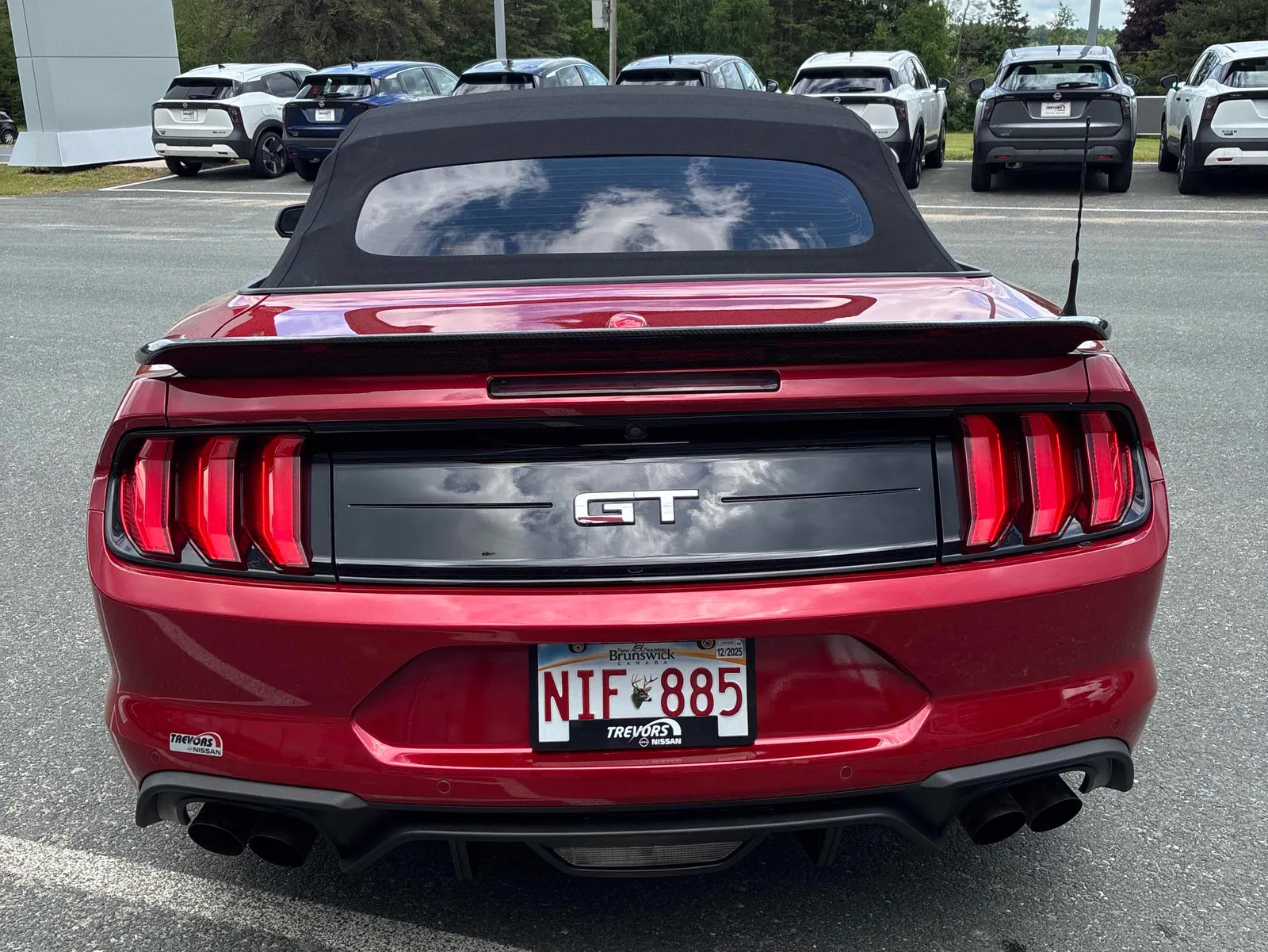 Back
