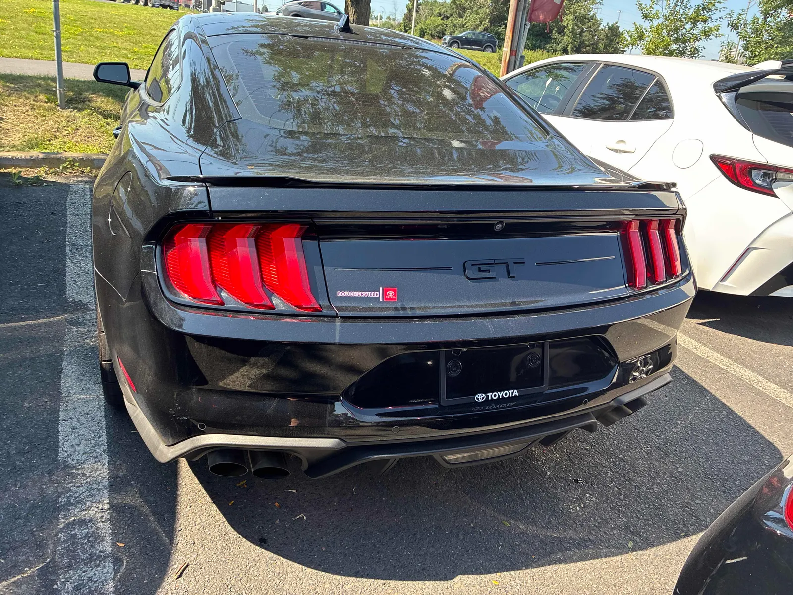 Back