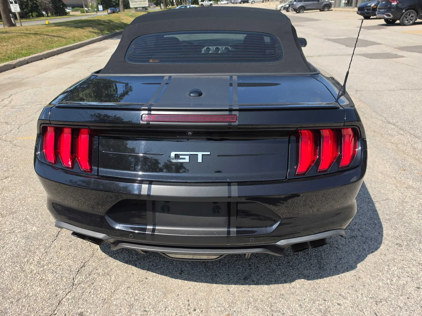 Back
