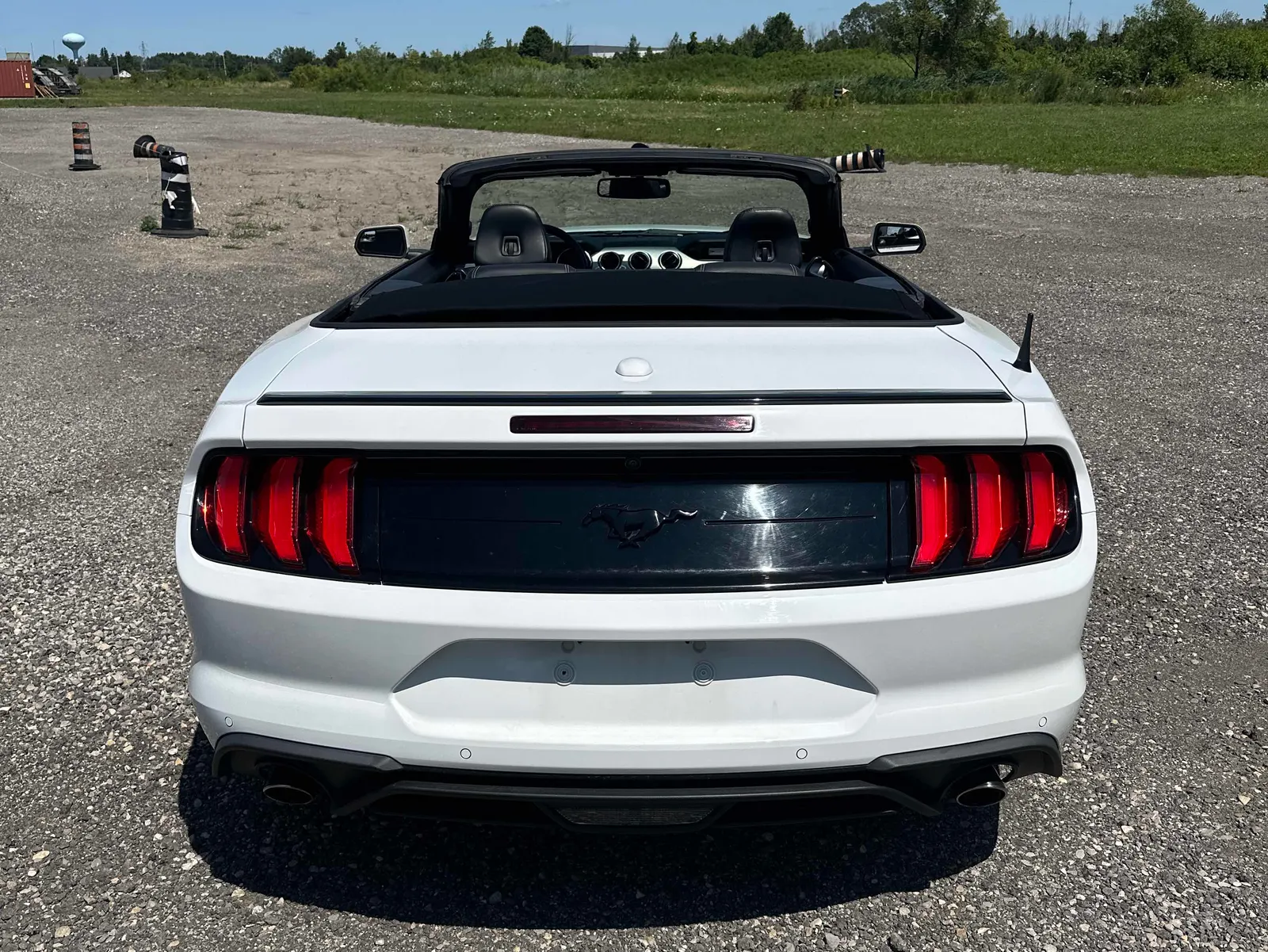 Back