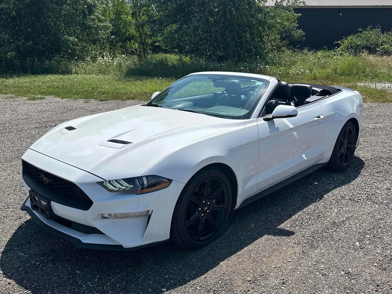 2019 Ford Mustang