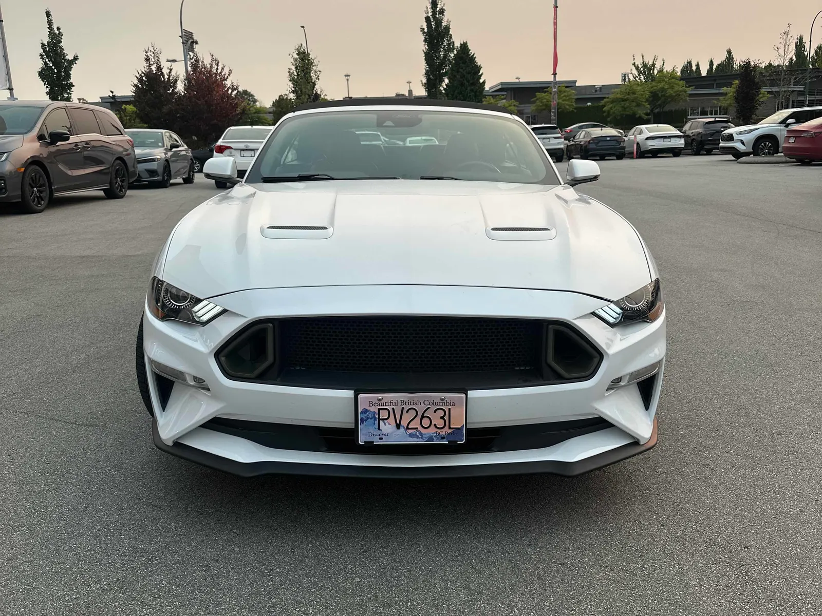 Front