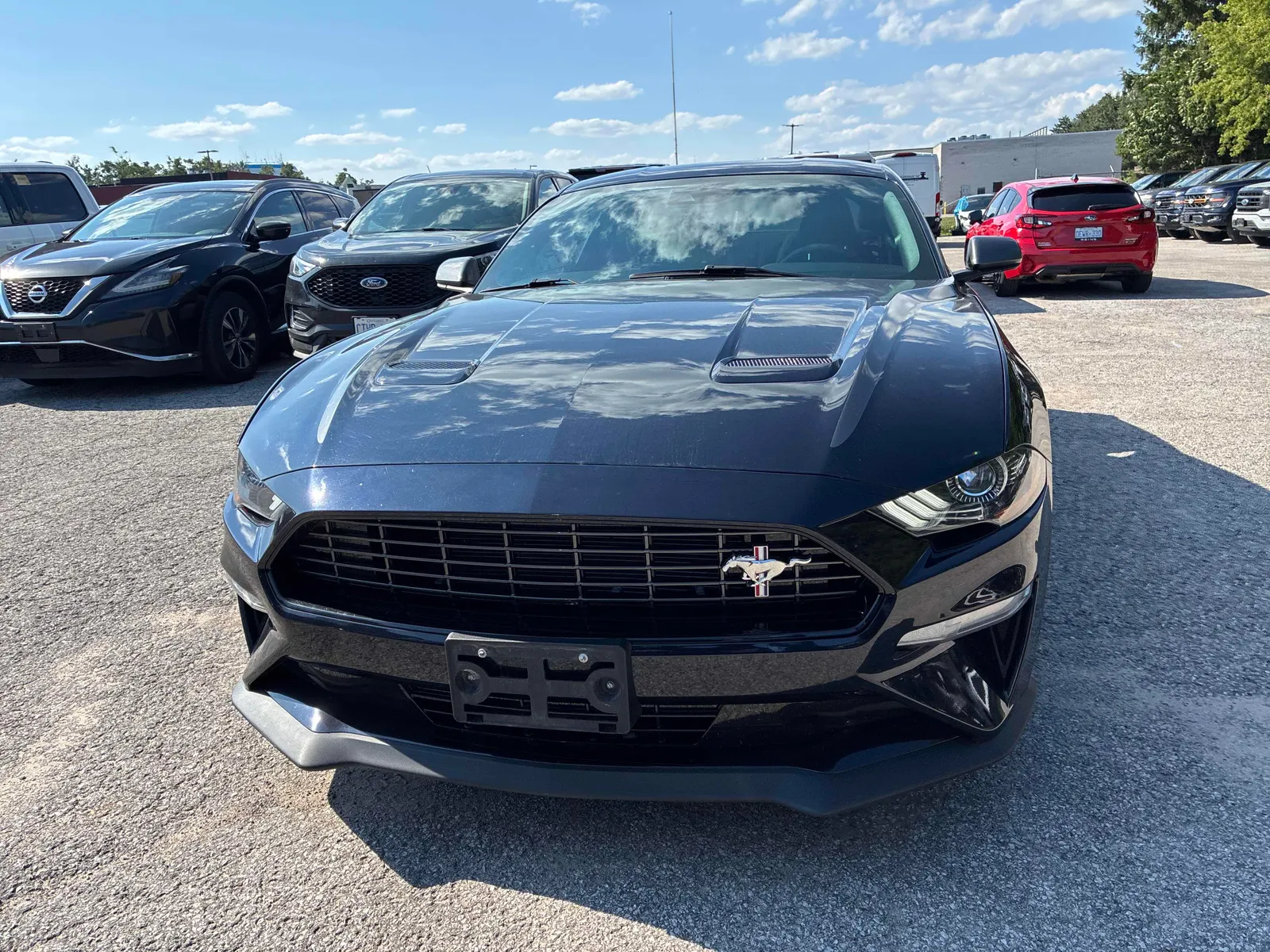 Front