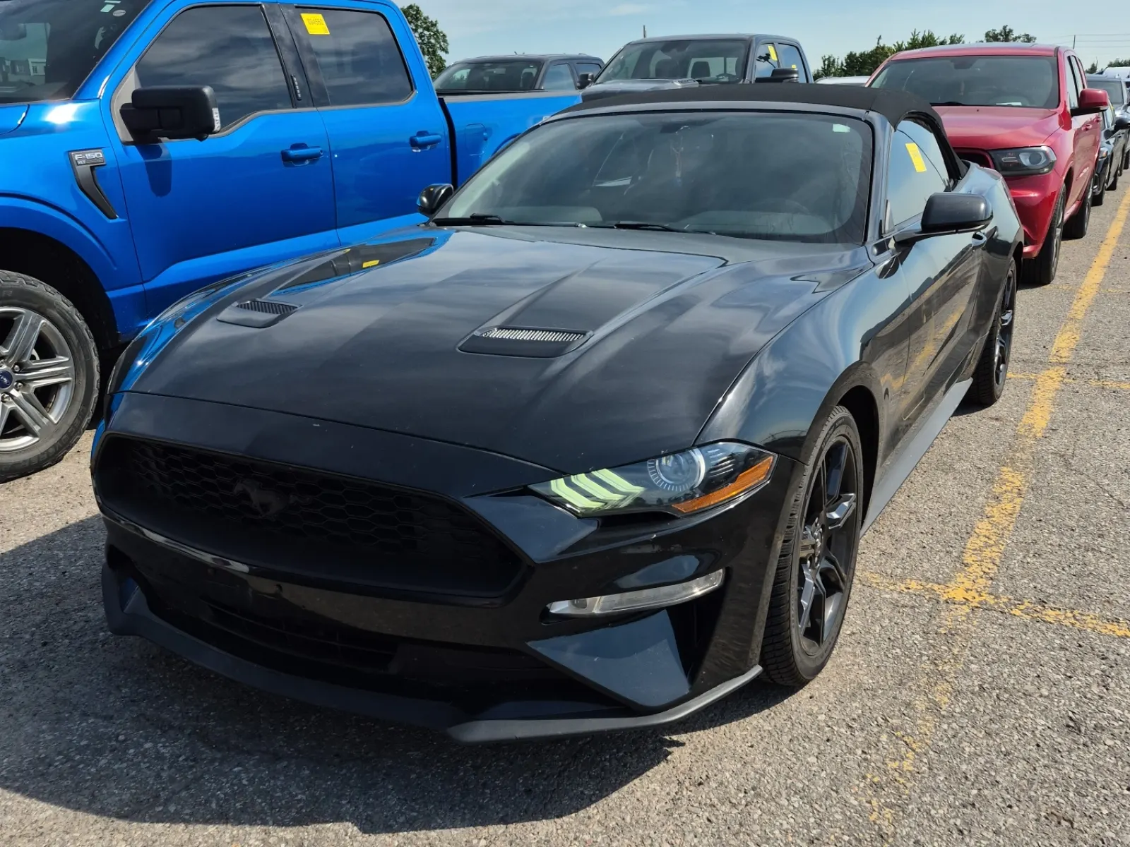 2019 Ford Mustang
