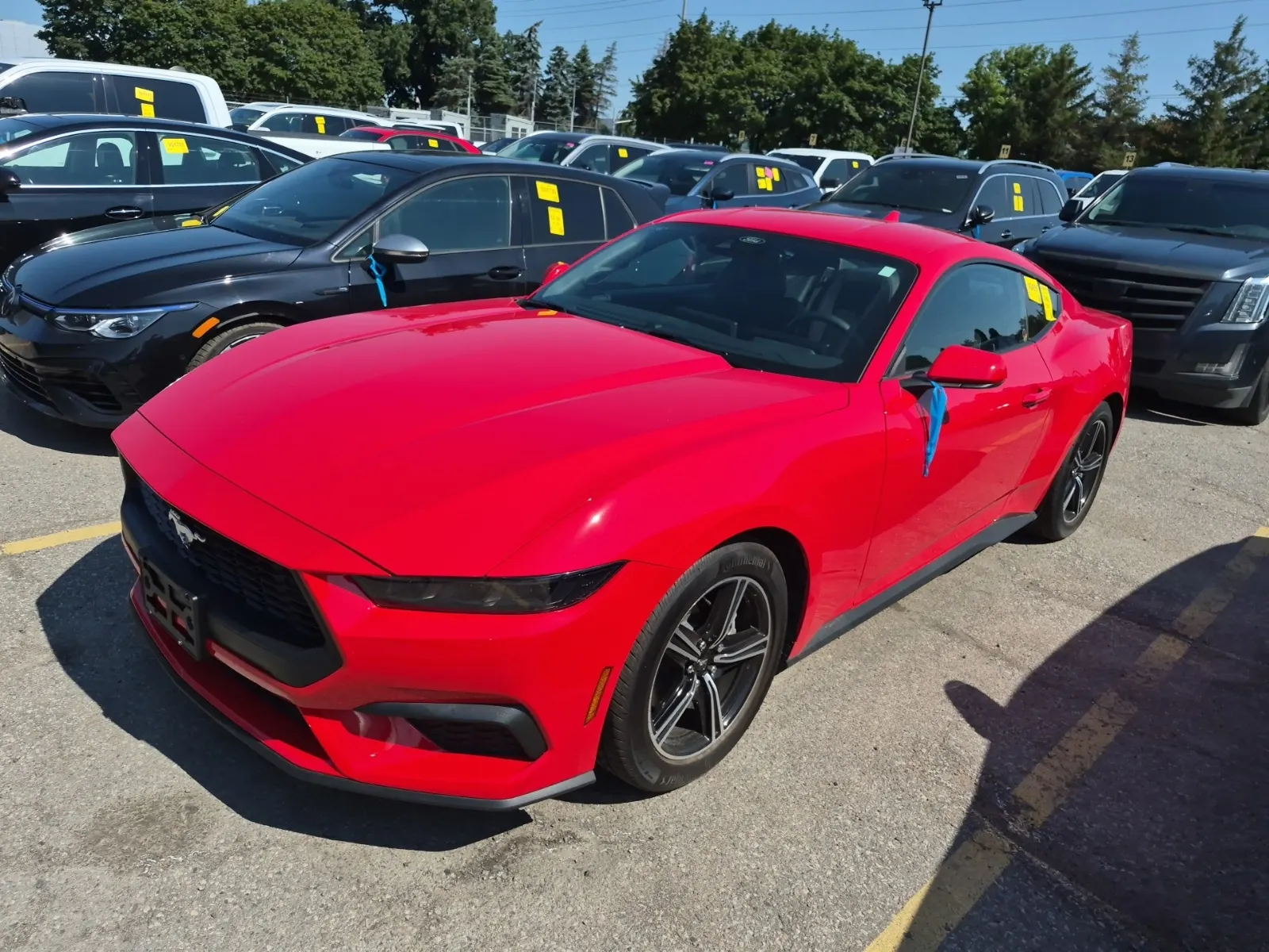 2025 Ford Mustang