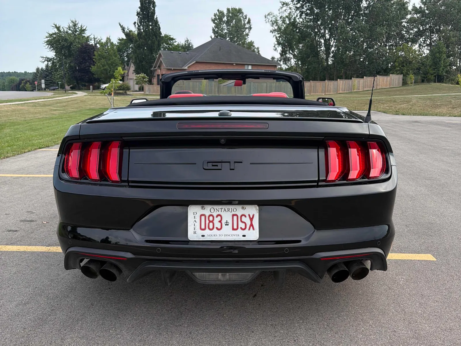 Back