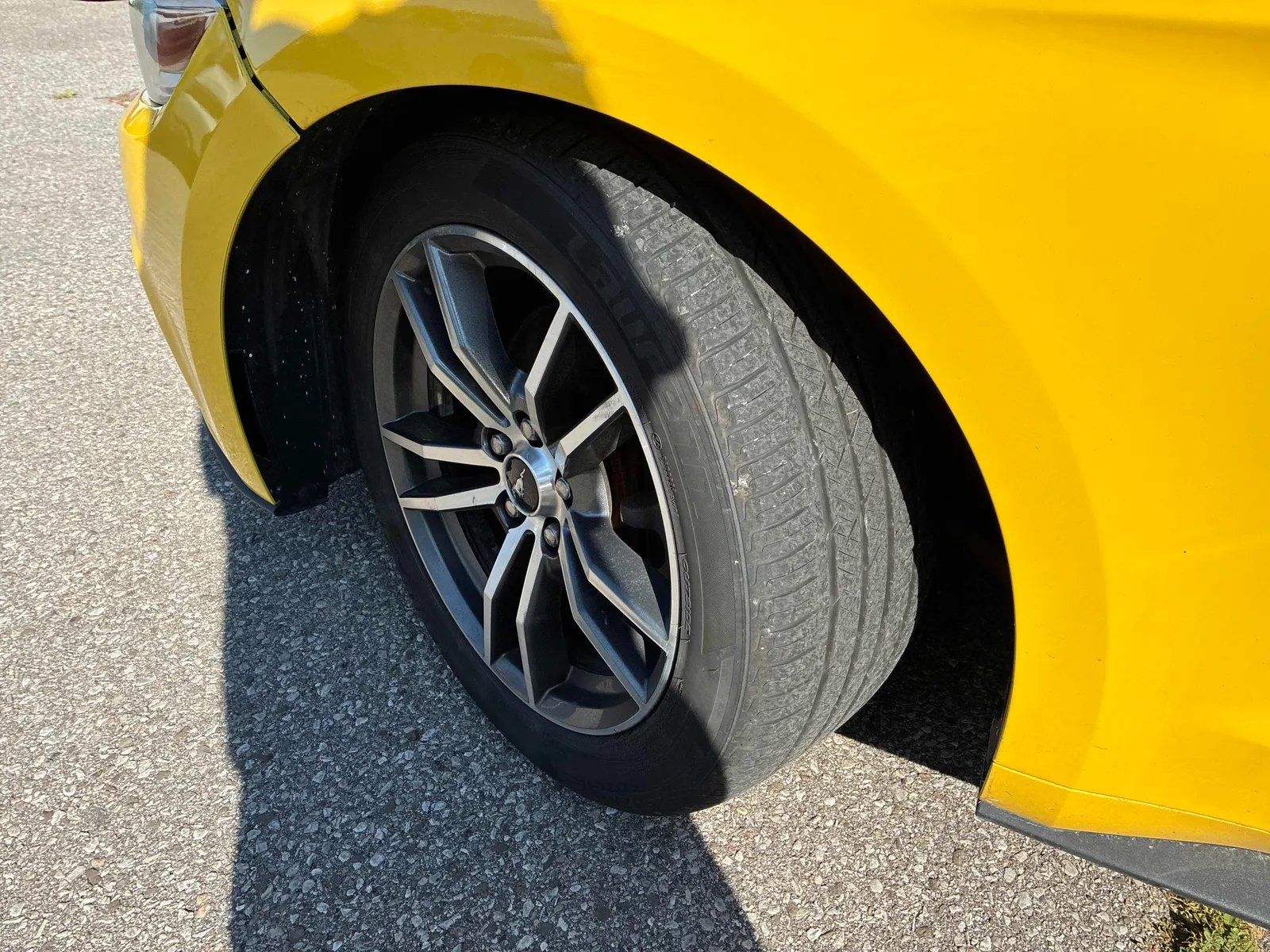 Tire