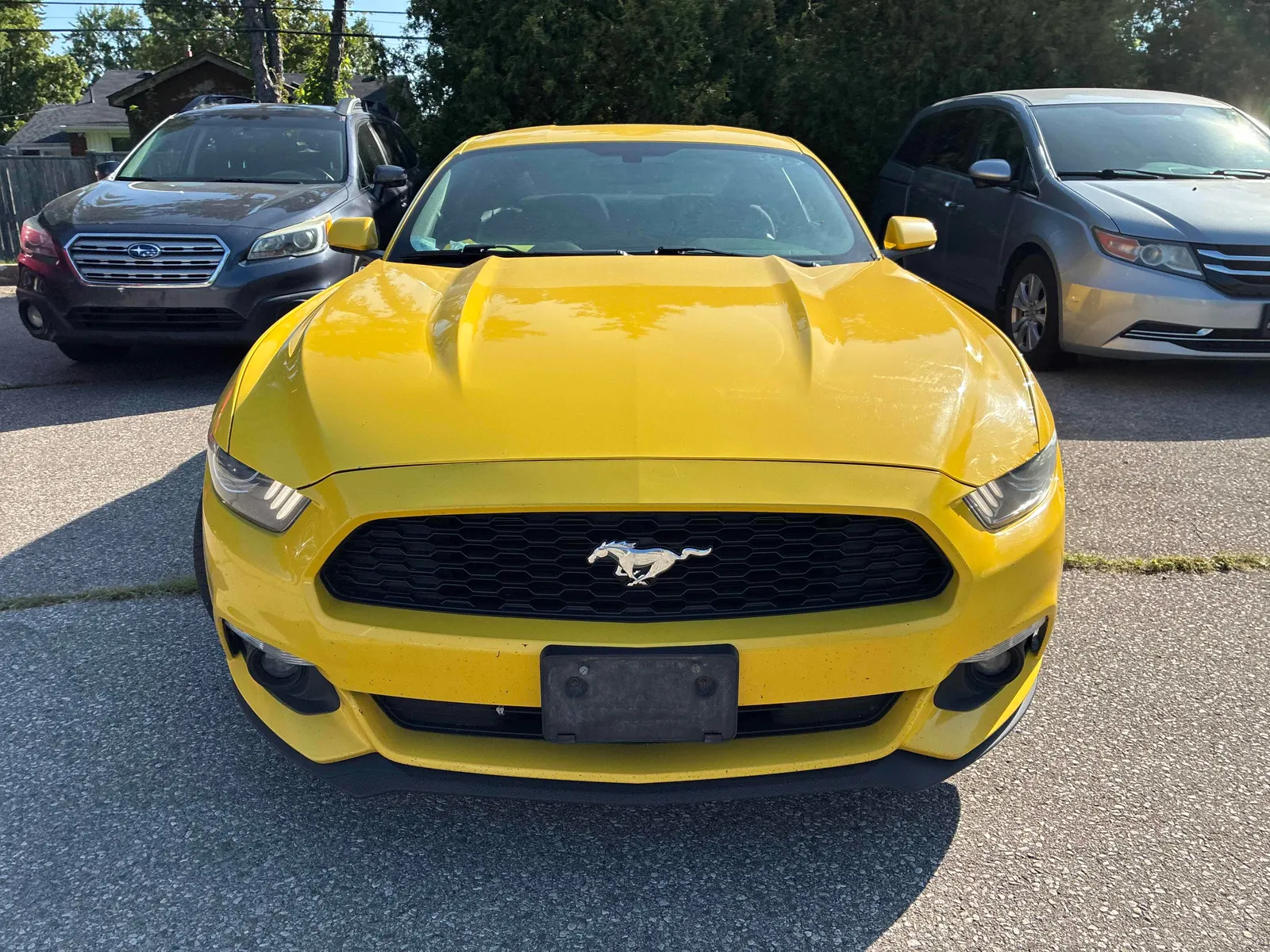 Front