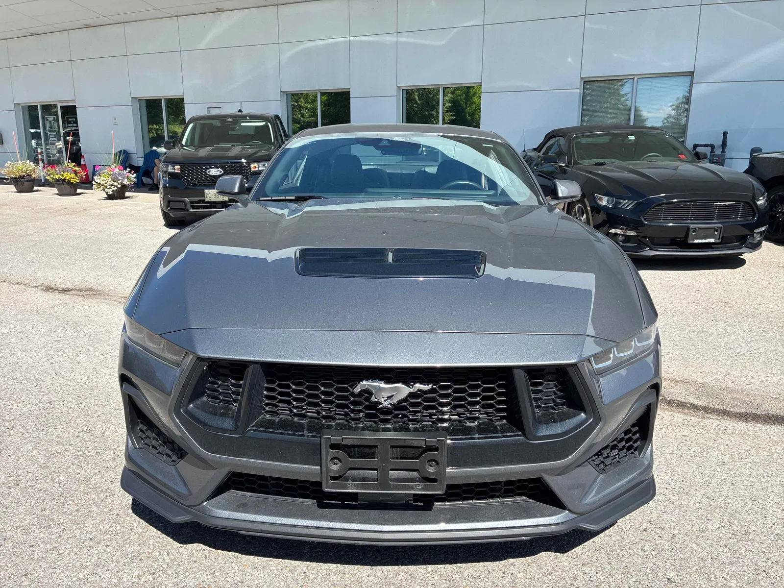 Front