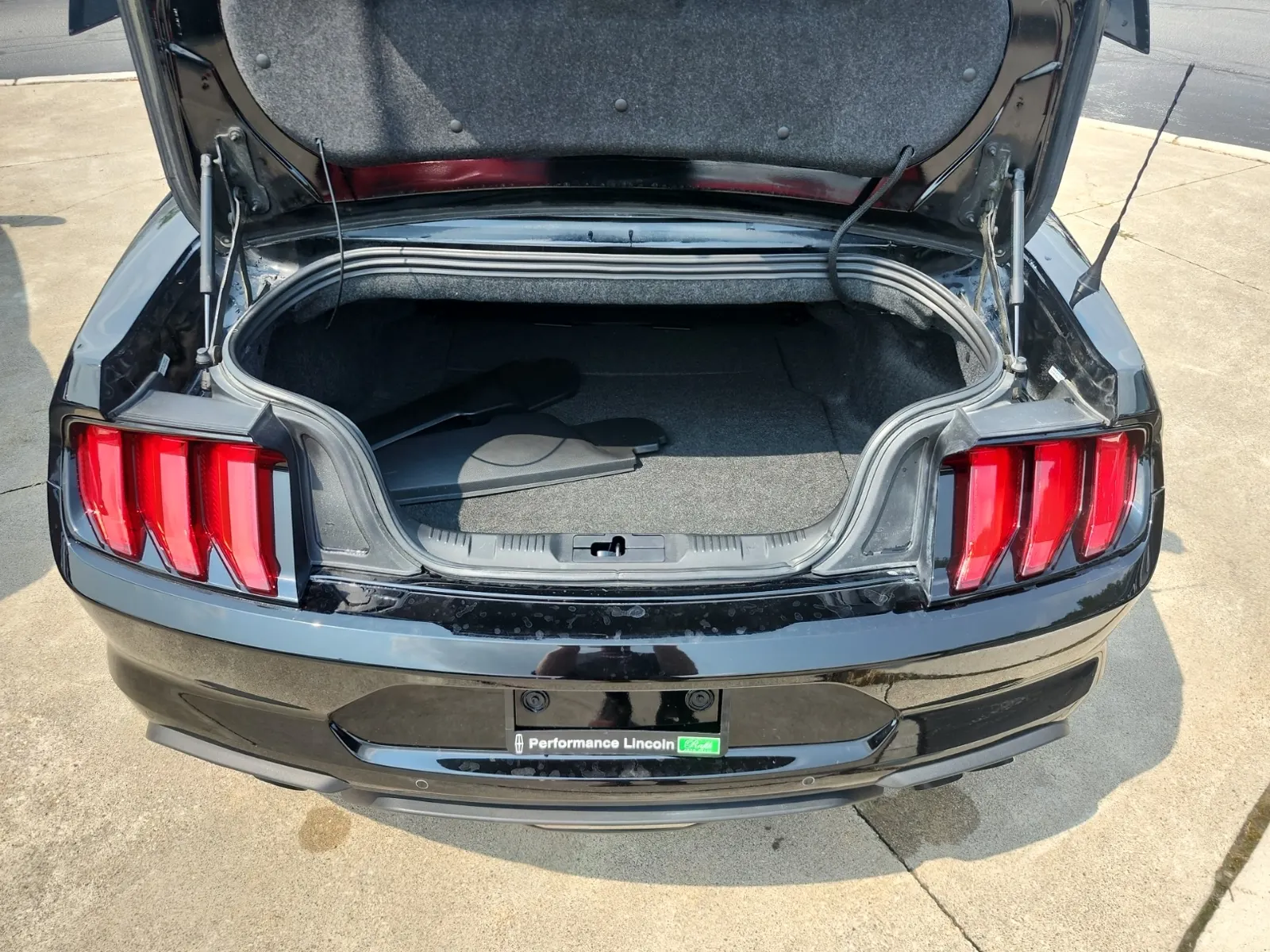 Cargo Area Photo