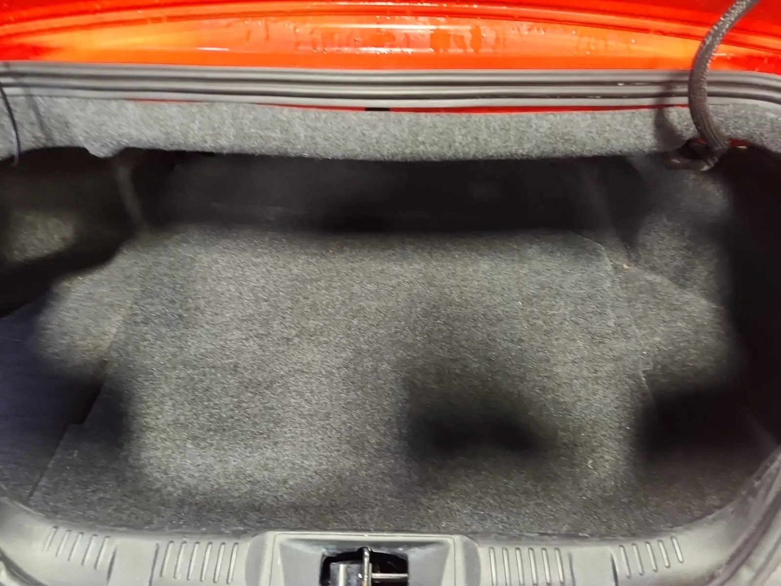 Cargo Area Photo