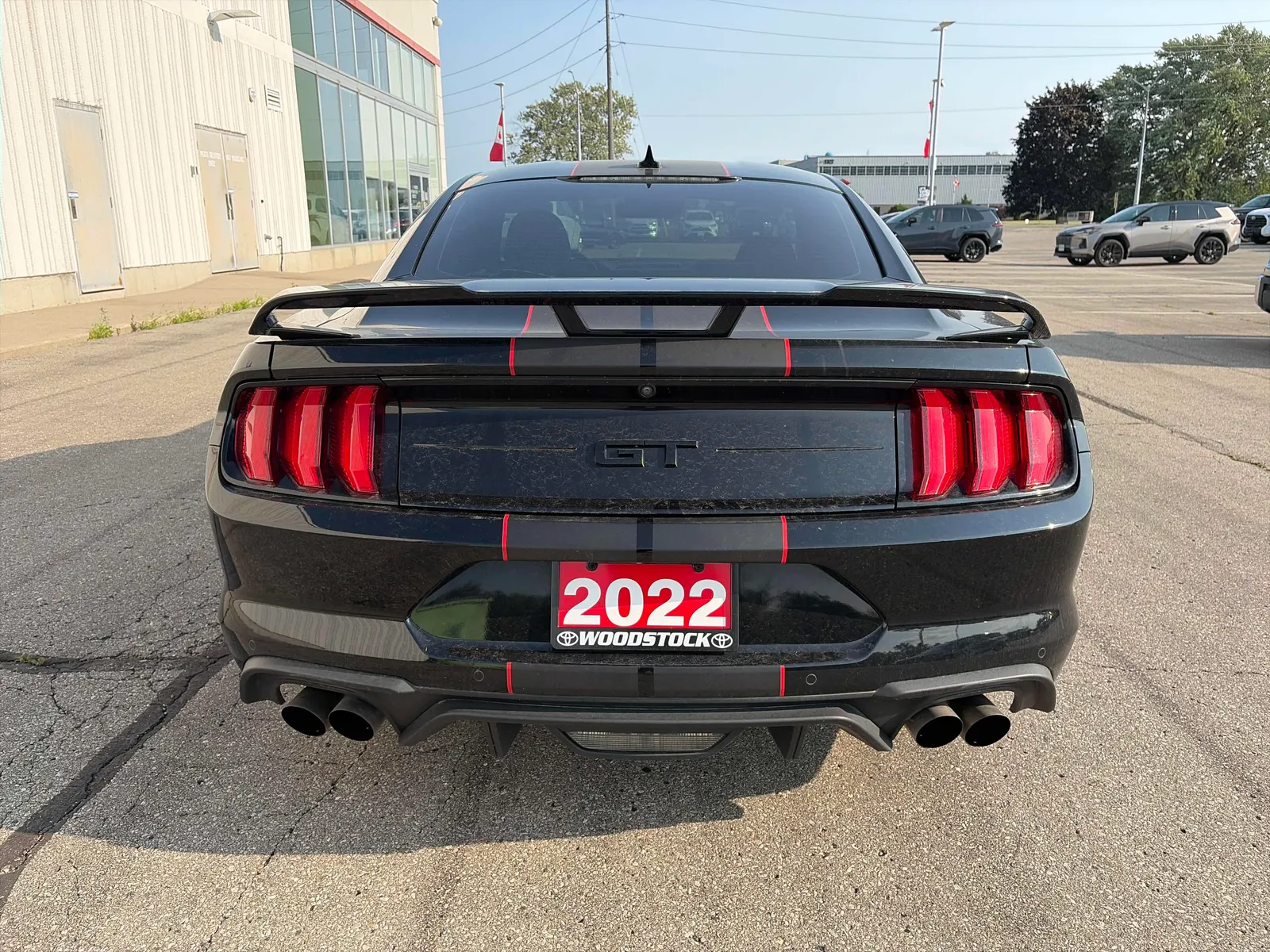 Back