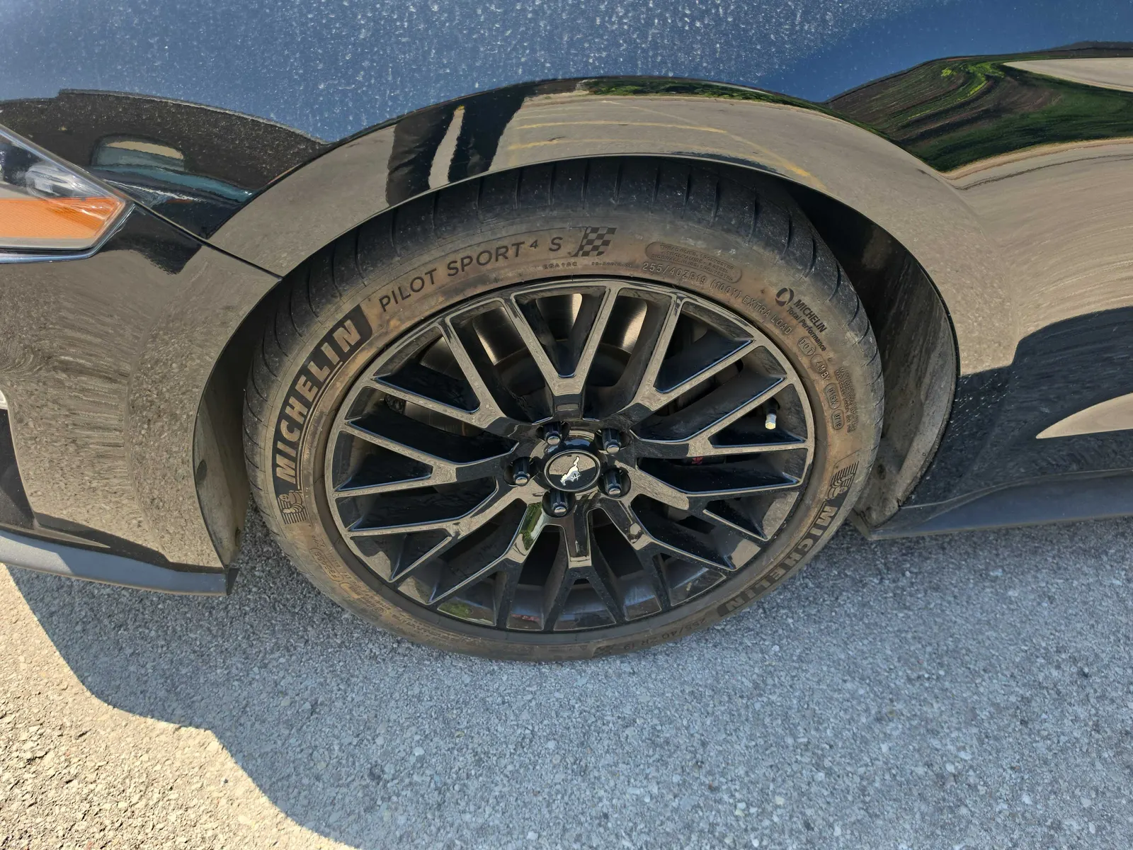 Tire