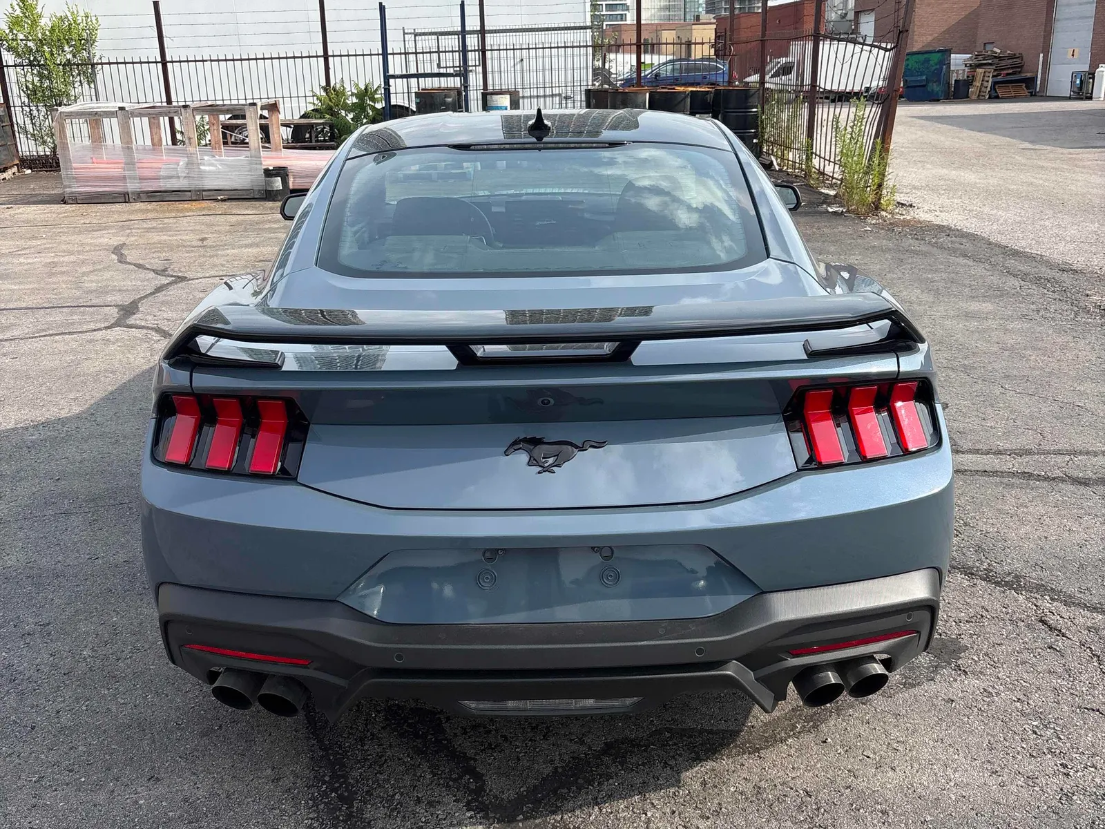 Back