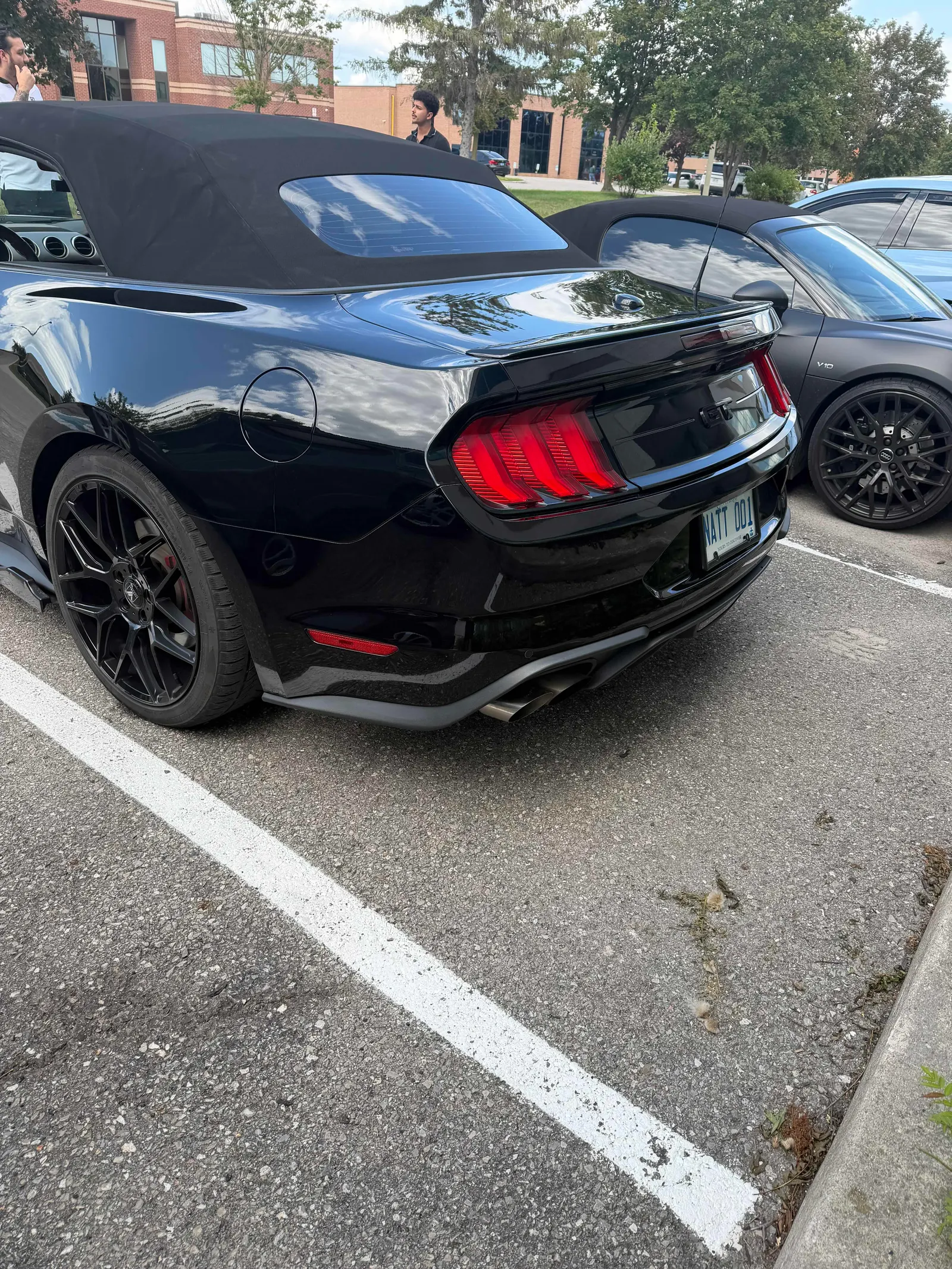 Back