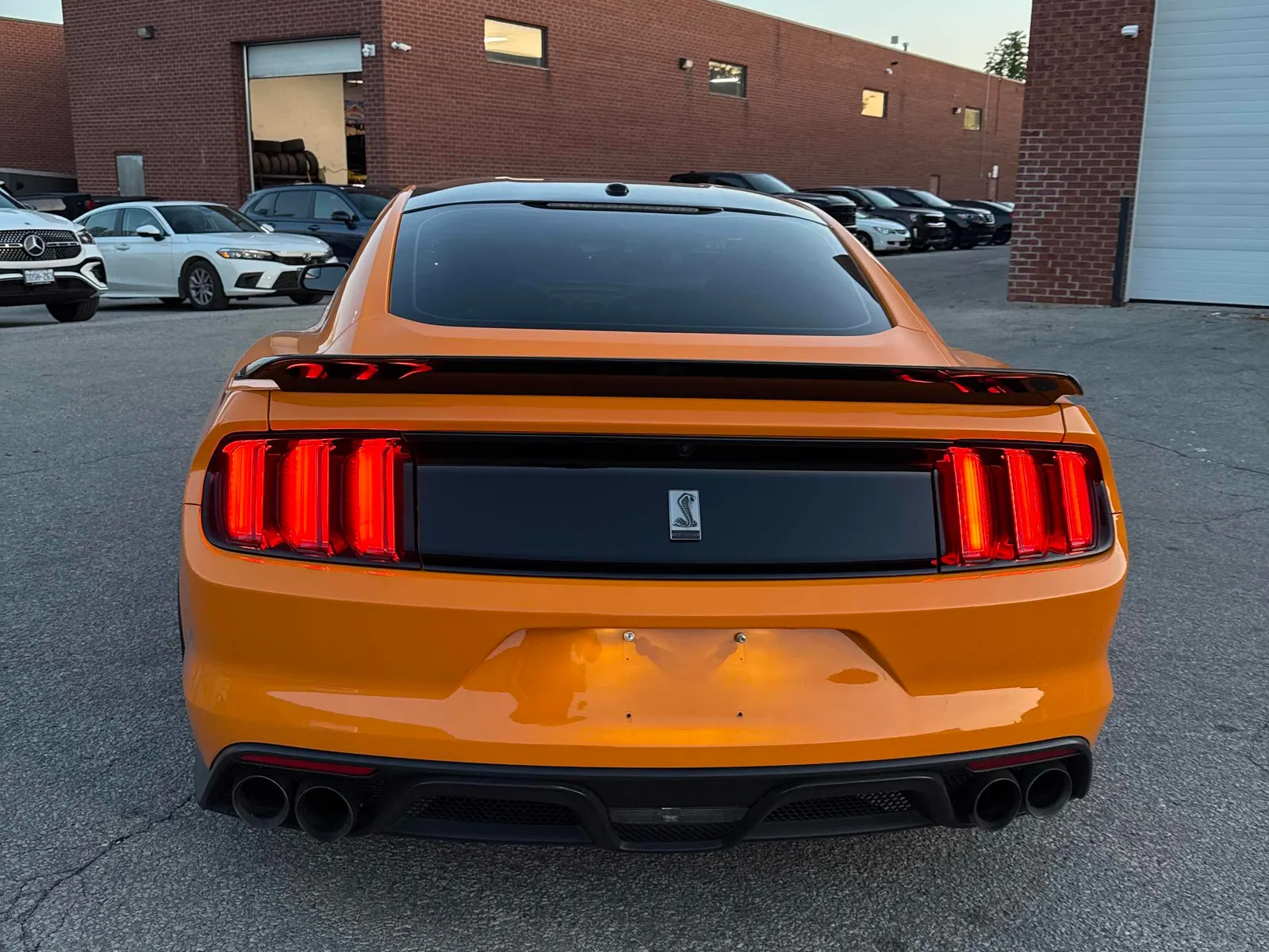 Back
