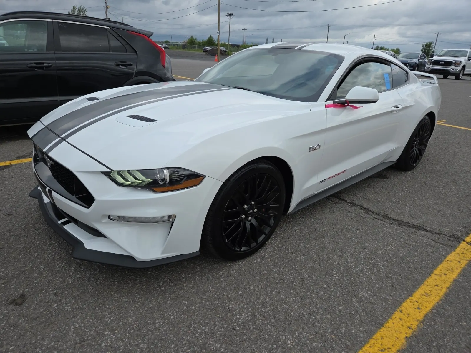 2019 Ford Mustang
