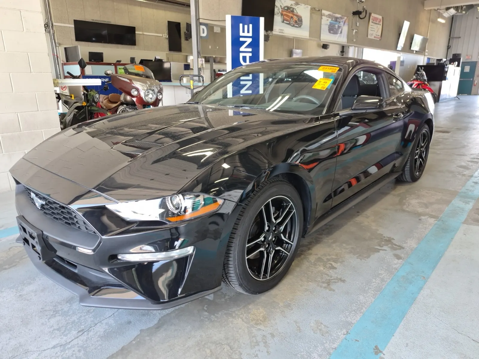 2019 Ford Mustang