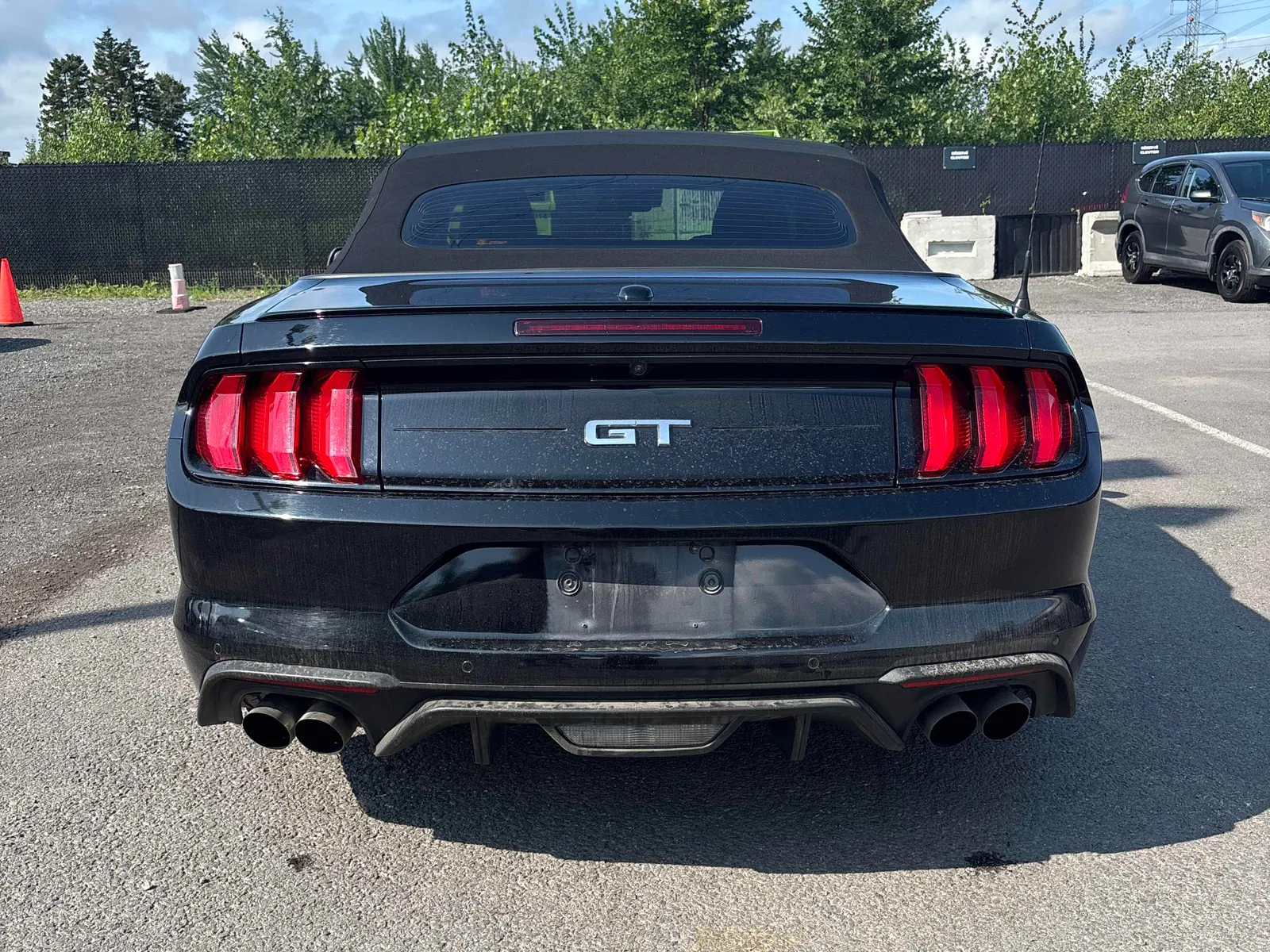 Back