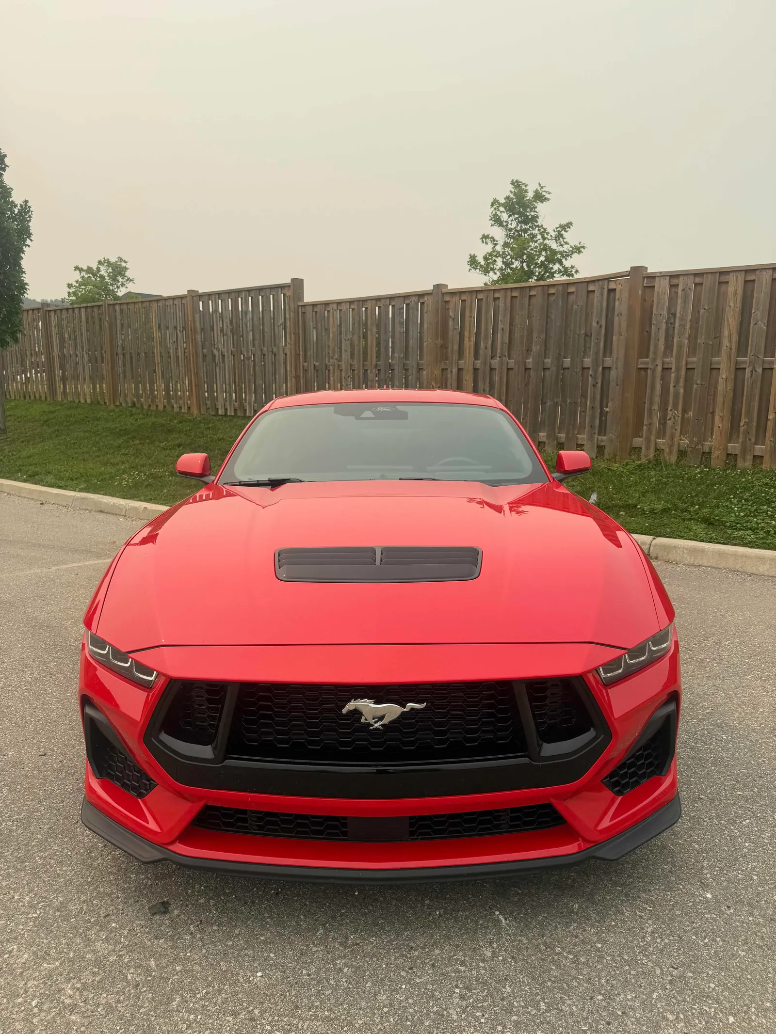Front