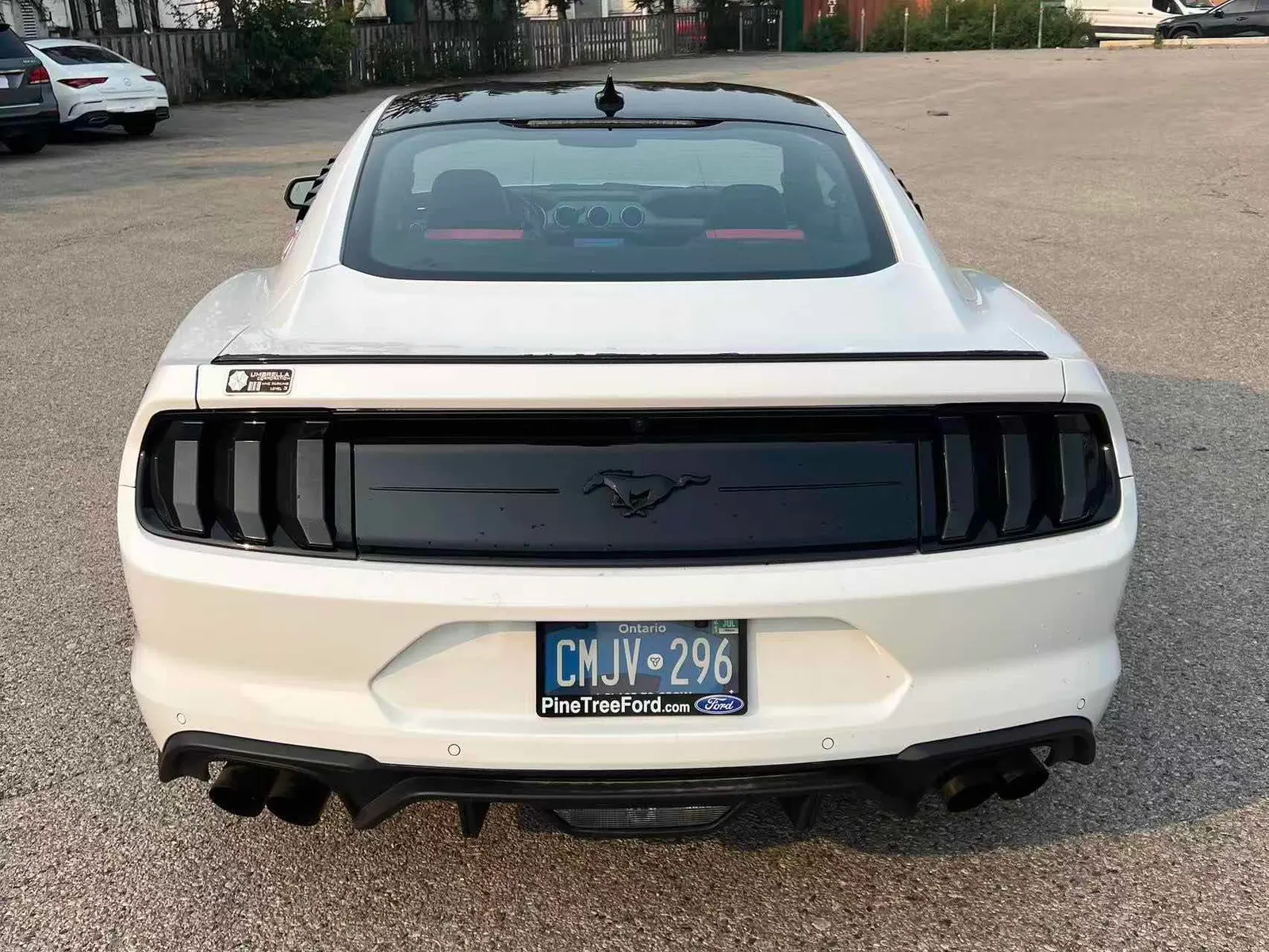 Back