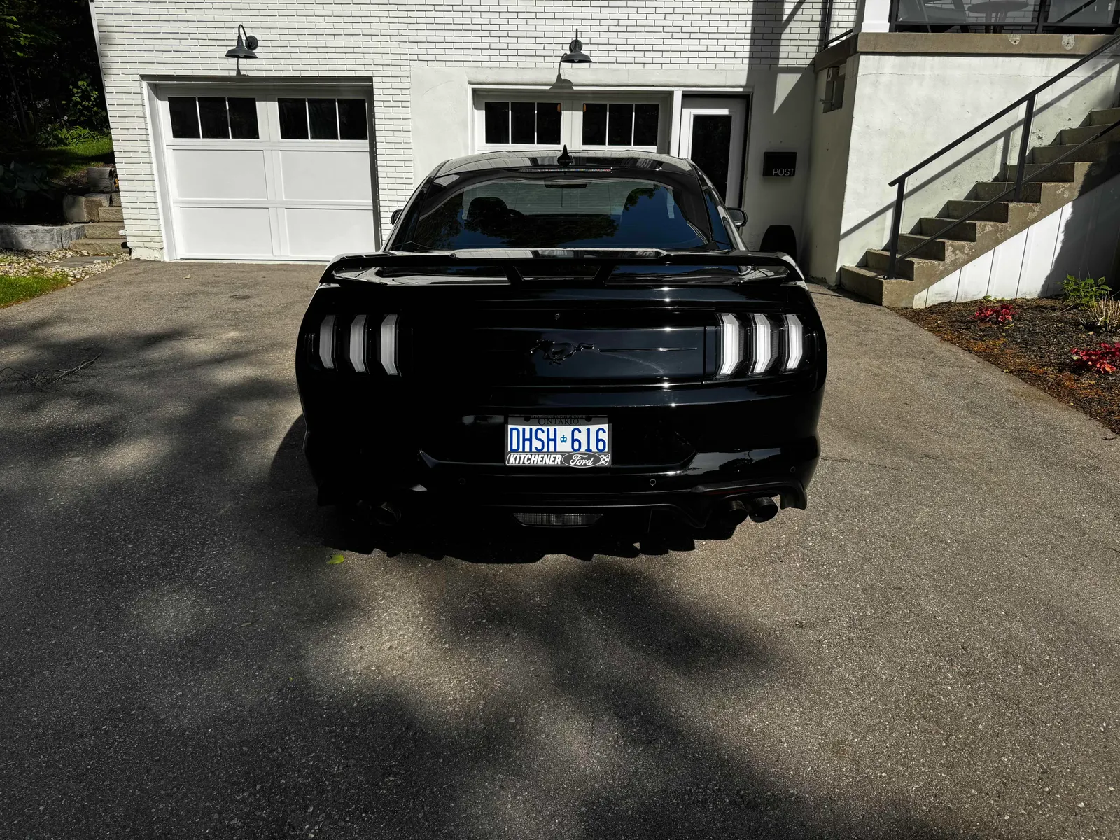 Back