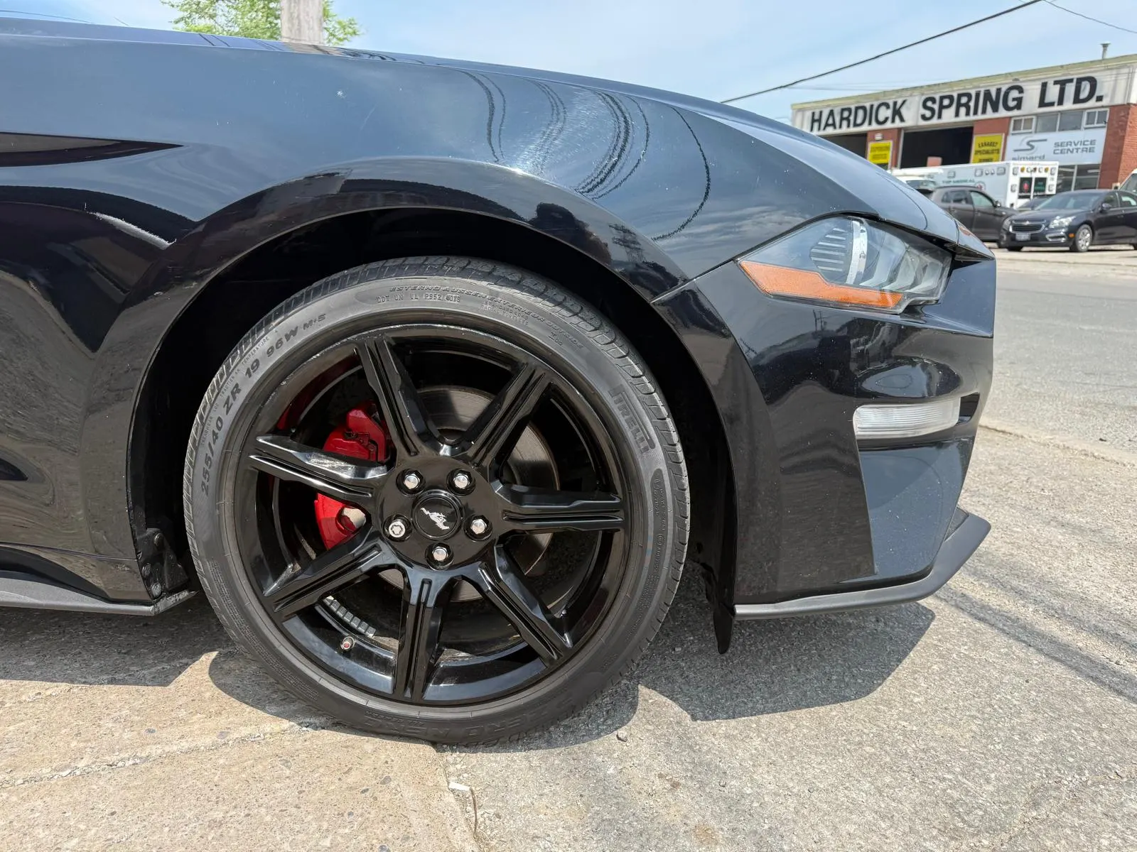 Tire