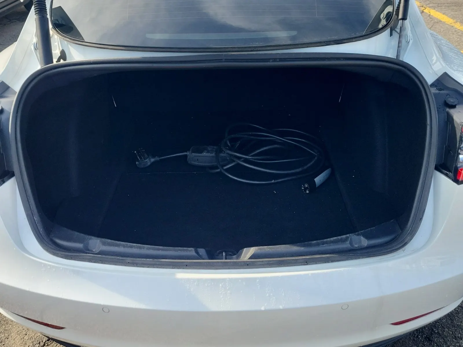 Cargo Area Photo