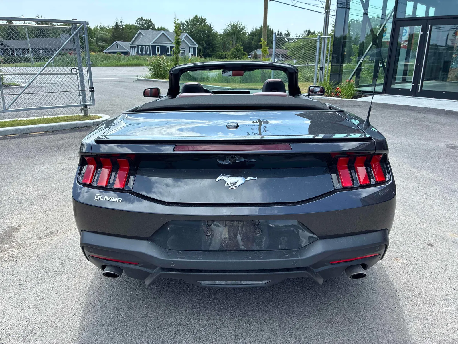 Back
