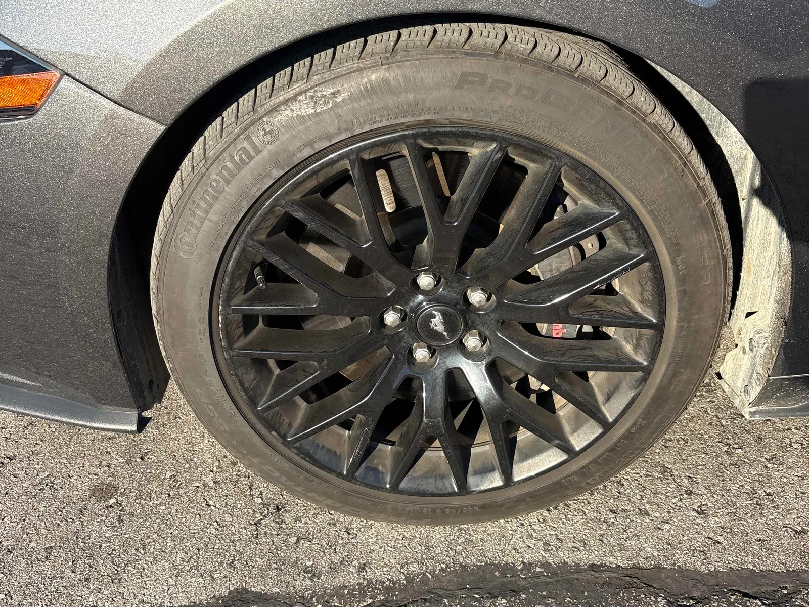Tire