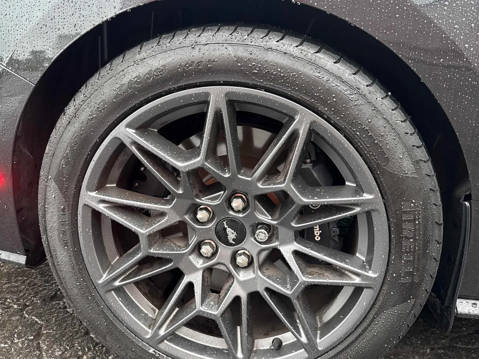 Tire