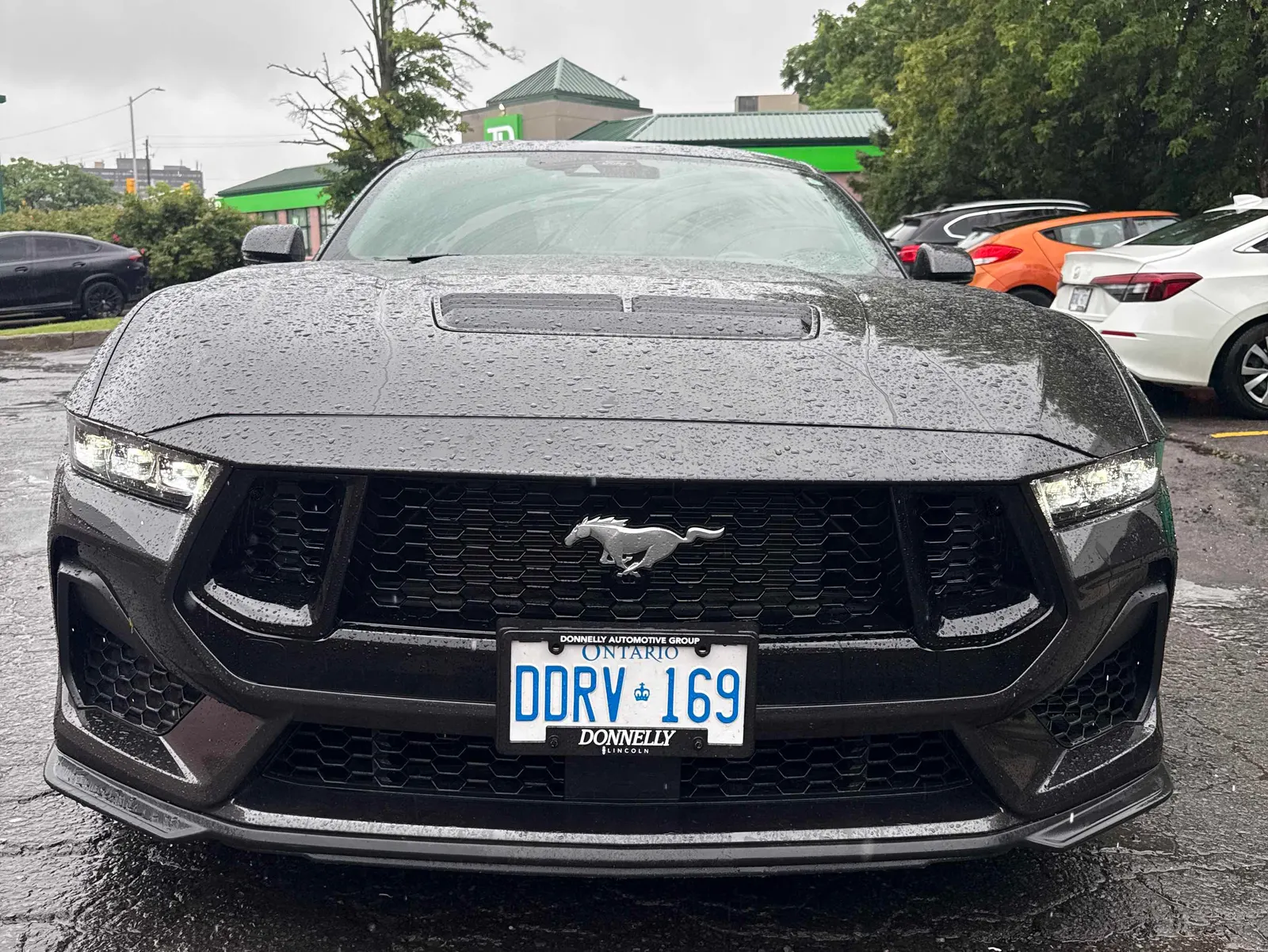 Front
