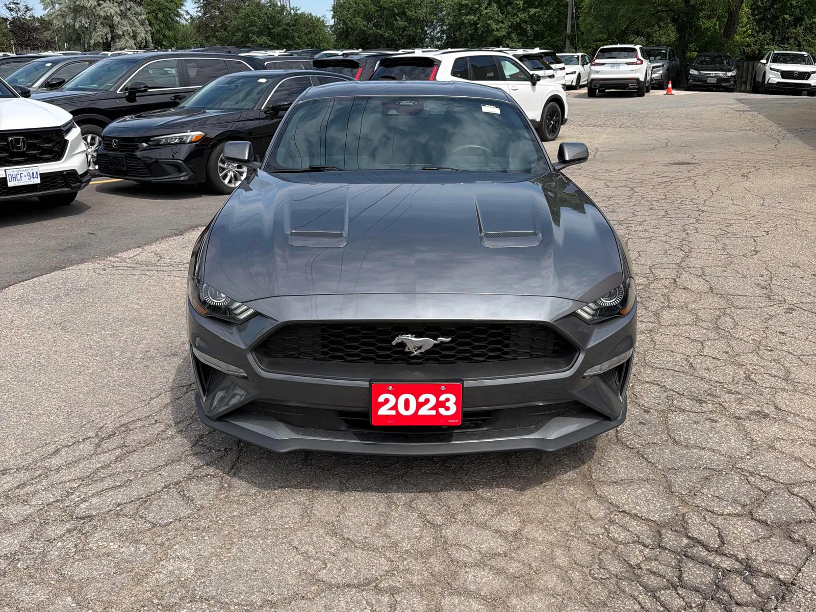 Front