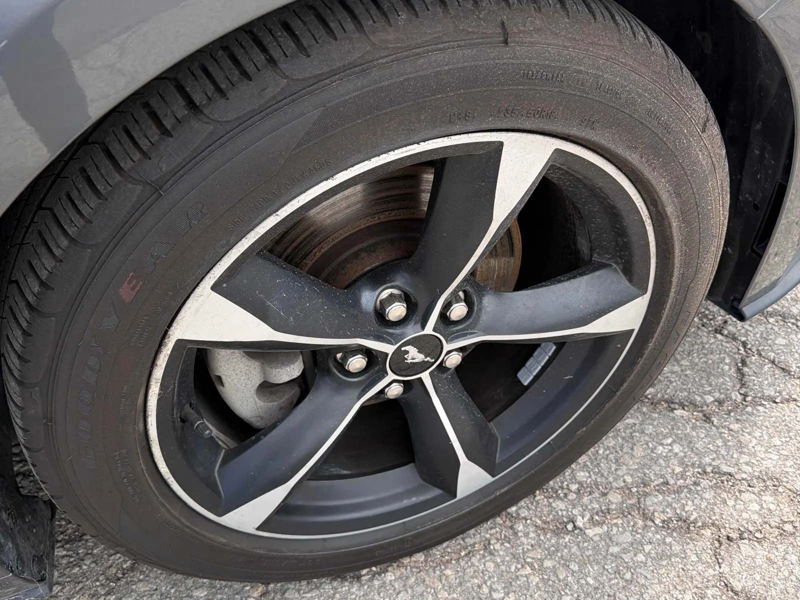Tire